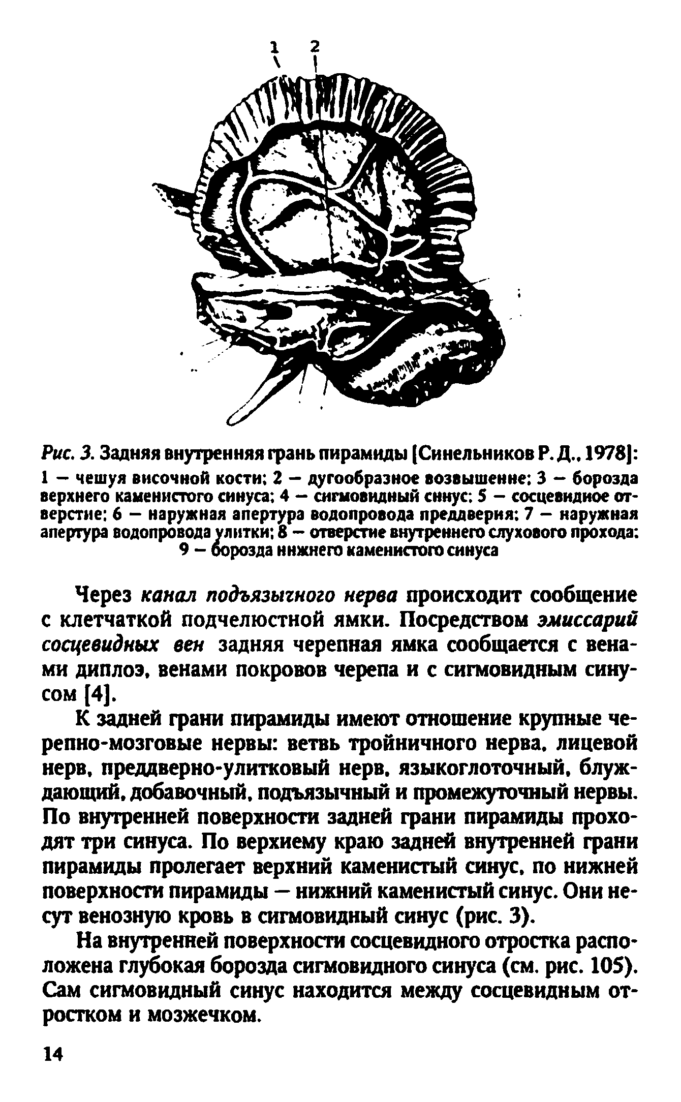 Рис. 3. Задняя внутренняя грань пирамиды [Синельников Р. Д.. 1978] 1 — чешуя височной кости 2 — дугообразное возвышение 3 — борозда верхнего каменистого синуса 4 — сигмовидный синус 5 - сосцевидное отверстие 6 - наружная апертура водопровода преддверия 7 - наружная апертура водопровода улитки 8 - отверстие внутреннего слухового прохода ...