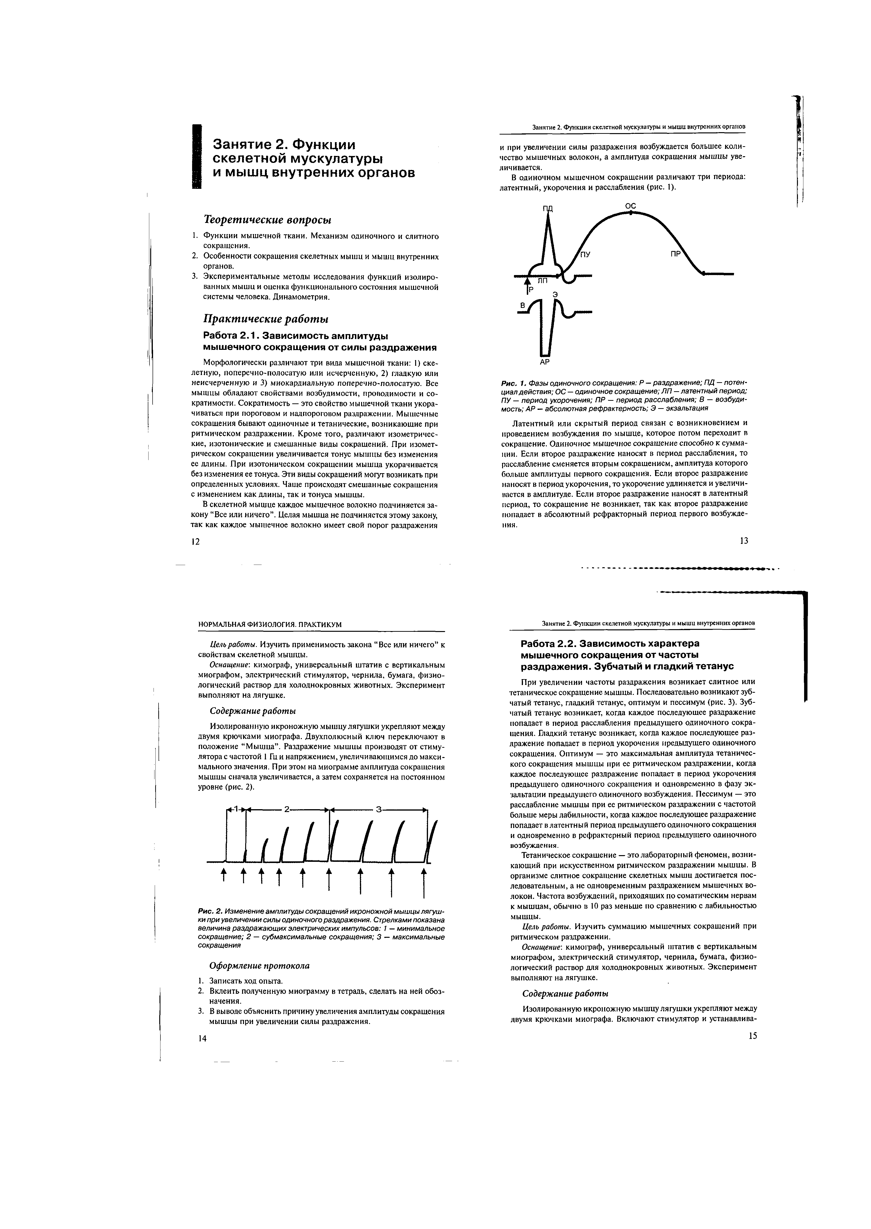 Рис. 1. Фазы одиночного сокращения Р - раздражение ПД - потенциал действия ОС — одиночное сокращение ЛП — латентный период ПУ — период укорочения ПР — период расслабления В — возбудимость АР — абсолютная рефрактерность Э — экзальтация...