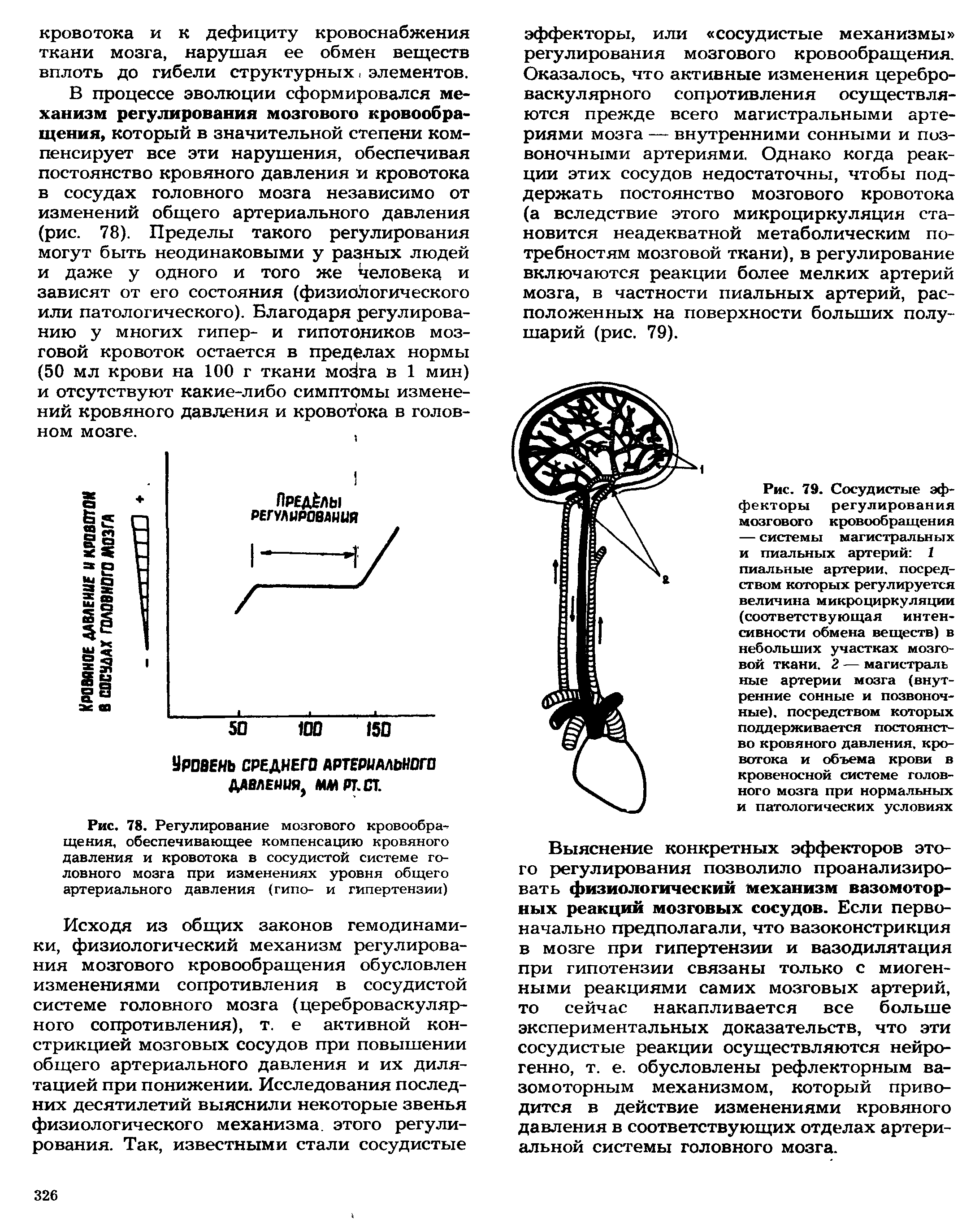 Рис. 78. Регулирование мозгового кровообращения, обеспечивающее компенсацию кровяного давления и кровотока в сосудистой системе головного мозга при изменениях уровня общего артериального давления (гипо- и гипертензии)...