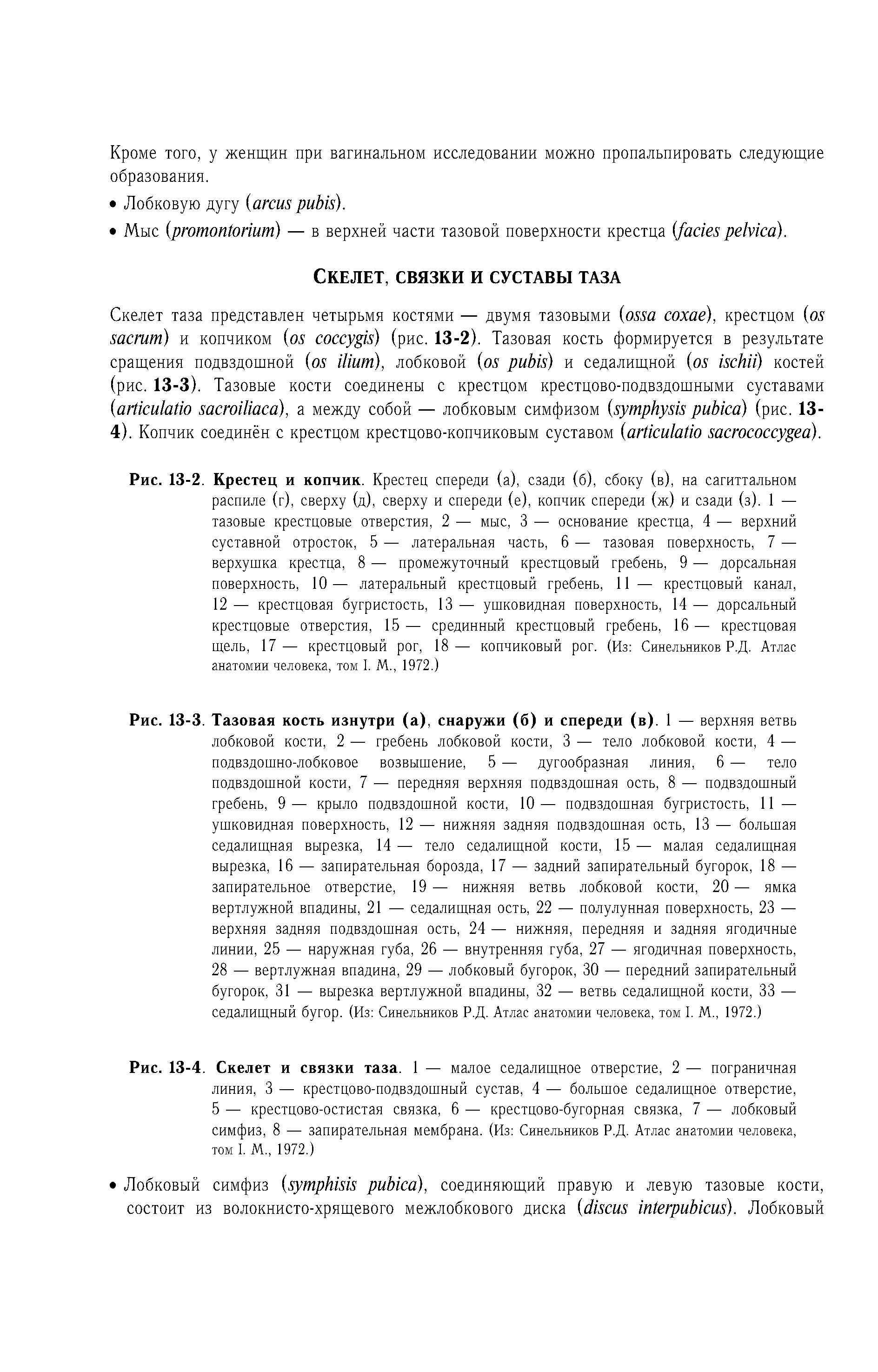 Рис. 13-2. Крестец и копчик. Крестец спереди (а), сзади (б), сбоку (в), на сагиттальном распиле (г), сверху (д), сверху и спереди (е), копчик спереди (ж) и сзади (з). 1 — тазовые крестцовые отверстия, 2 — мыс, 3 — основание крестца, 4 — верхний суставной отросток, 5 — латеральная часть, 6 — тазовая поверхность, 7 — верхушка крестца, 8 — промежуточный крестцовый гребень, 9 — дорсальная поверхность, 10— латеральный крестцовый гребень, 11 — крестцовый канал, 12 — крестцовая бугристость, 13 — ушковидная поверхность, 14 — дорсальный крестцовые отверстия, 15 — срединный крестцовый гребень, 16 — крестцовая щель, 17— крестцовый рог, 18— копчиковый рог. (Из Синельников Р.Д. Атлас анатомии человека, том I. М., 1972.)...