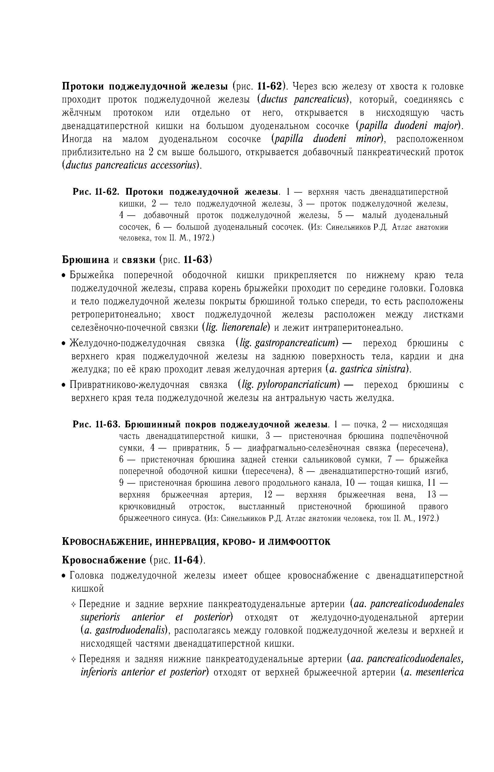 Рис. 11-62. Протоки поджелудочной железы. 1 — верхняя часть двенадцатиперстной кишки, 2 — тело поджелудочной железы, 3 — проток поджелудочной железы, 4 — добавочный проток поджелудочной железы, 5 — малый дуоденальный сосочек, 6 — большой дуоденальный сосочек. (Из Синельников Р.Д. Атлас анатомии человека, том II. М., 1972.)...