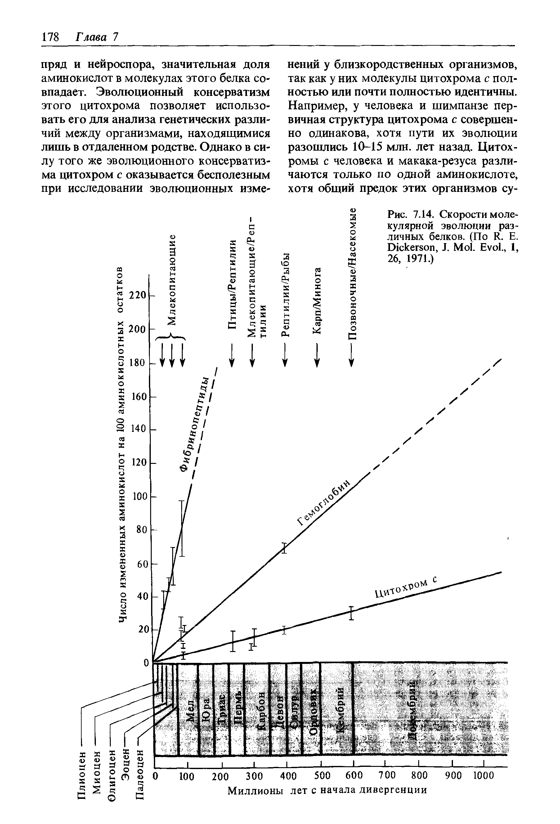 Рис. 7.14. Скорости молекулярной эволюции различных белков. (По R. Е. D , J. M . E ., I, 26, 1971.)...