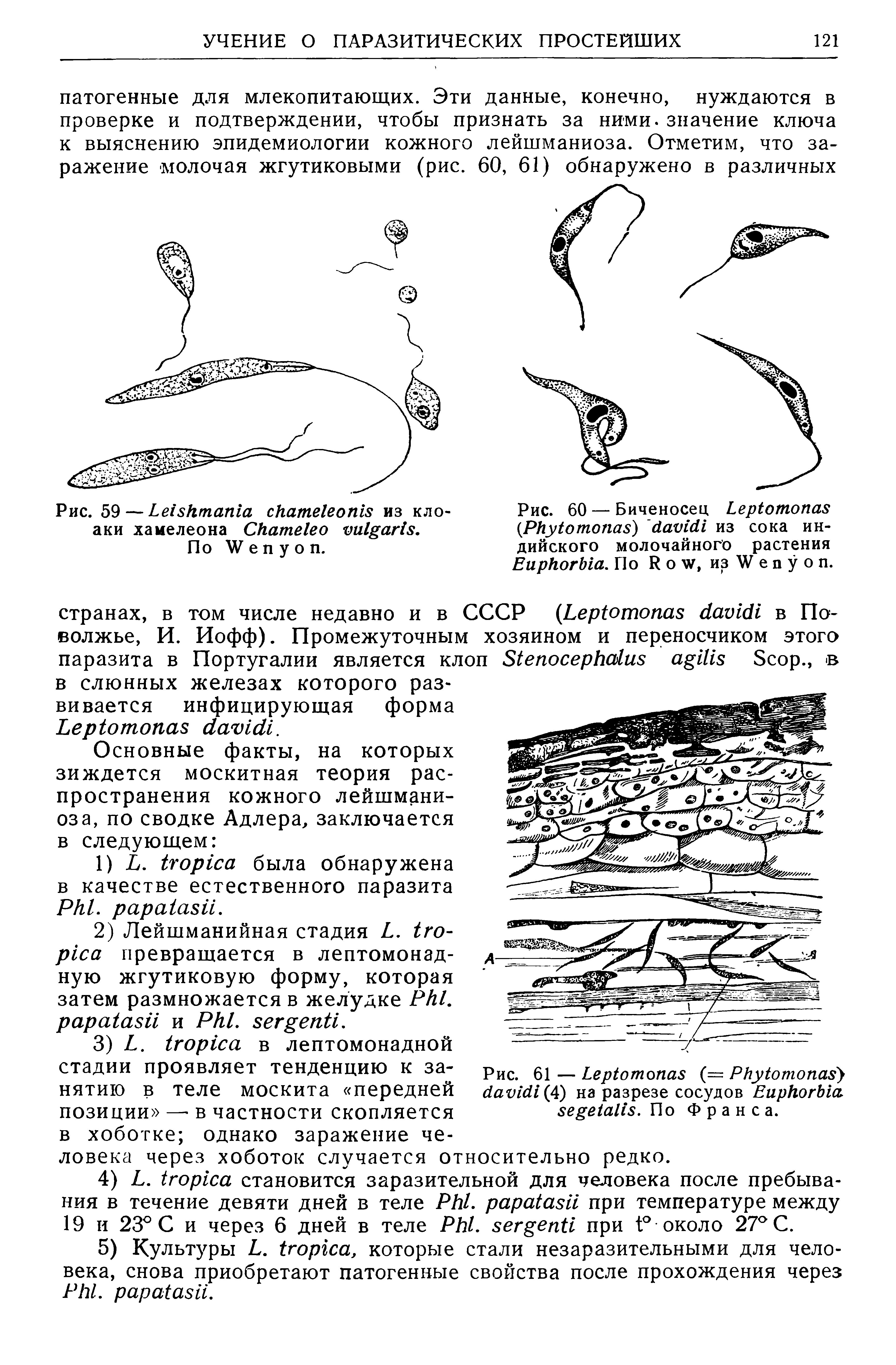 Рис. 60 — Биченосец L P ) из сока индийского молочайного растения E . По R о W, из W е п у о п.