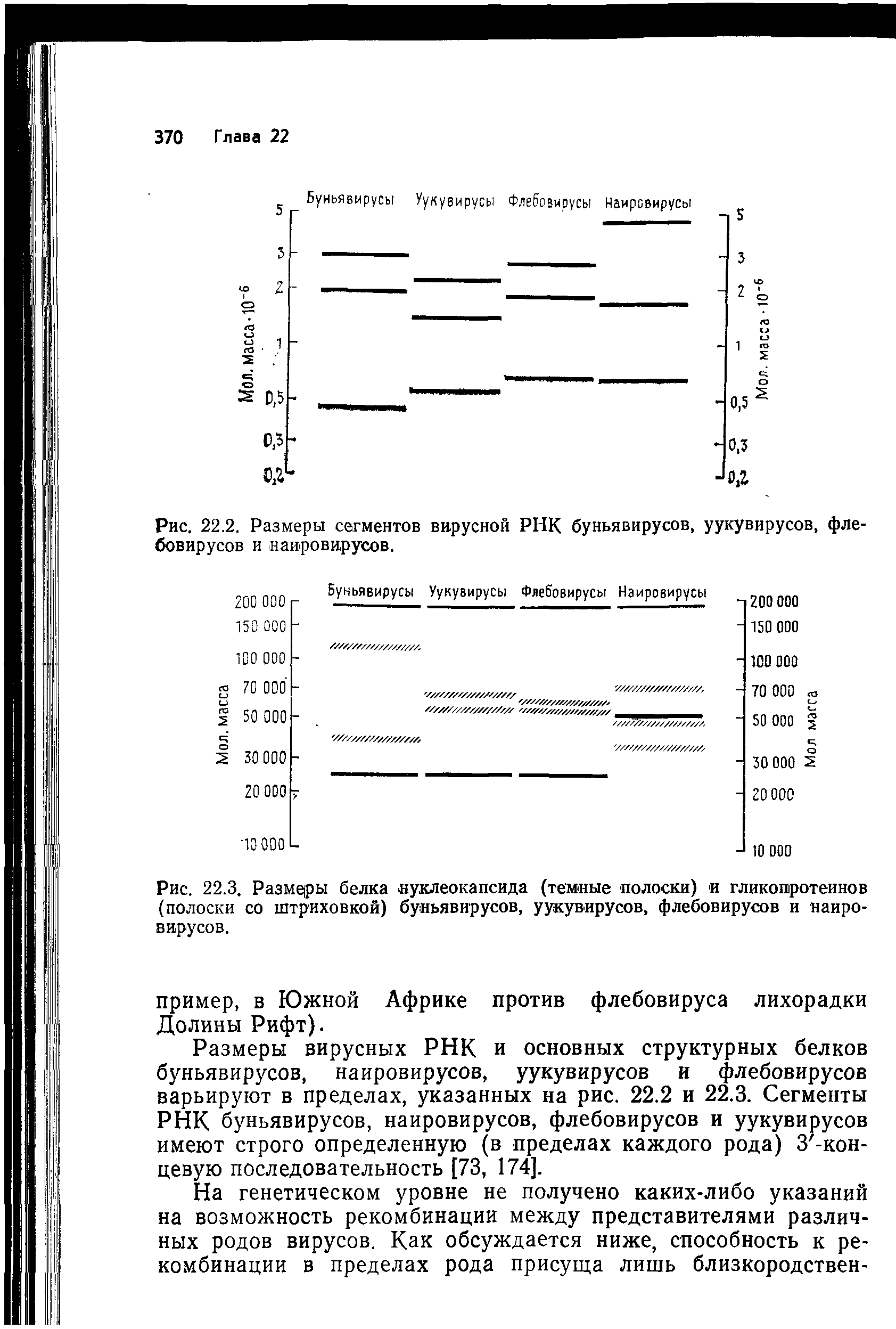 Рис. 22.3. Размеры белка нуклеокапсида (темные полоски) и гликопротеинов (полоски со штриховкой) буньявирусов, уукувирусов, флебовирусов и наировирусов.