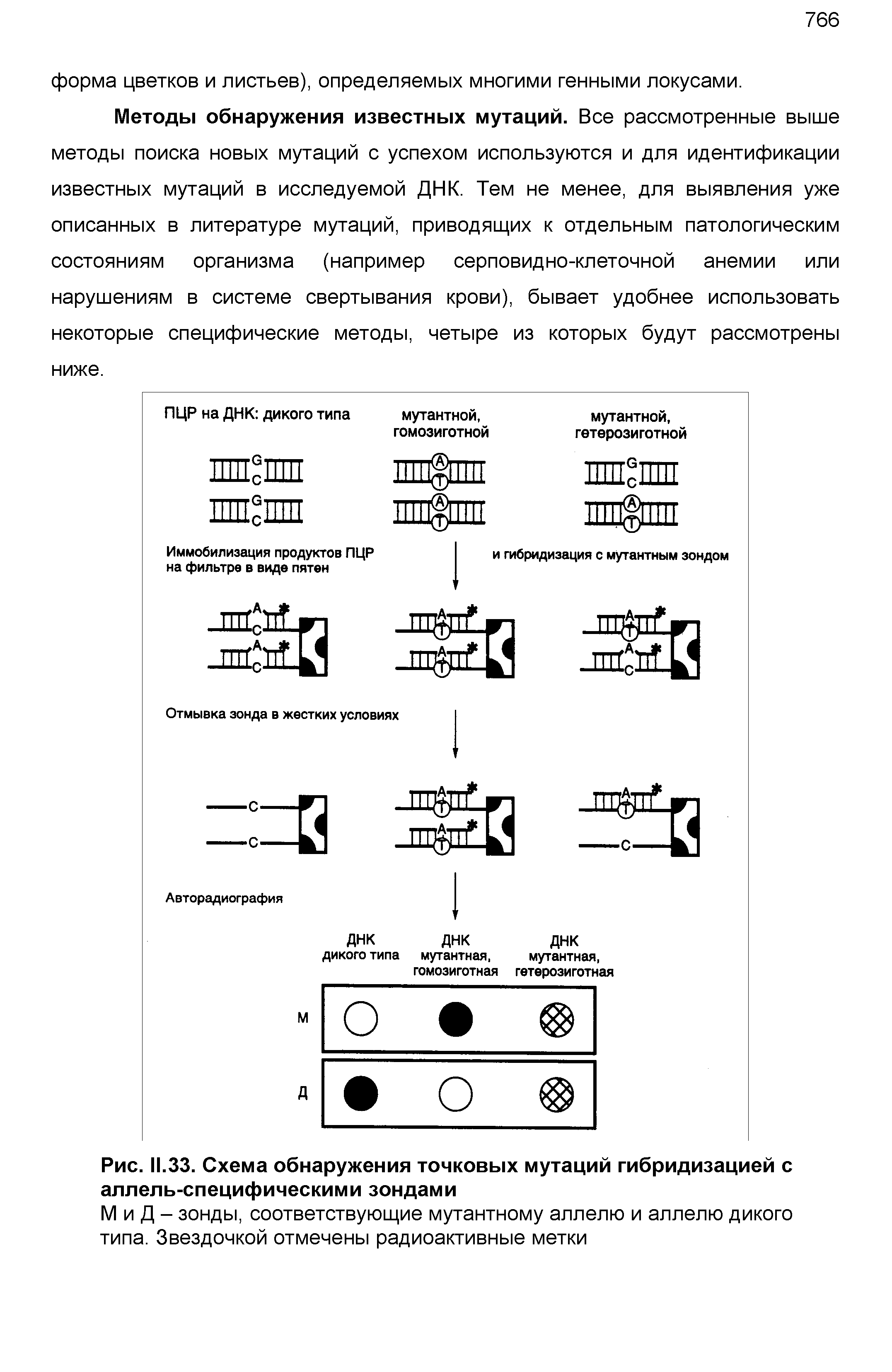 Рис. 11.33. Схема обнаружения точковых мутаций гибридизацией с аллель-специфическими зондами...
