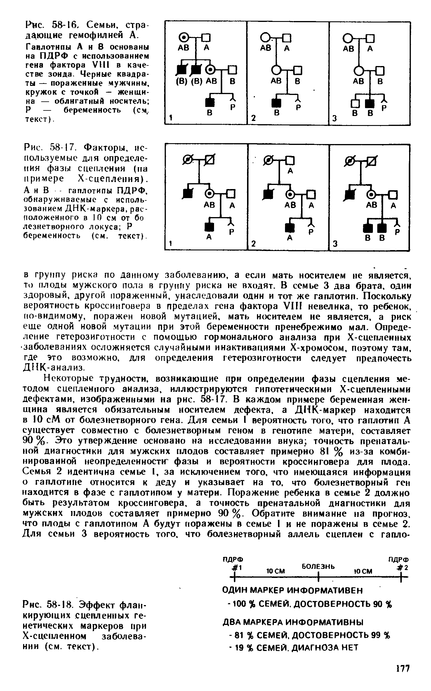 Рис. 58-17. Факторы, используемые для определения фазы сцепления (па примере Х-сцепления). А н В гаплотипы ПДРФ, обнаруживаемые с использованием ДНК-маркера, расположенного в 10 см от бо лезнетворного локуса Р беременность (см. текст).