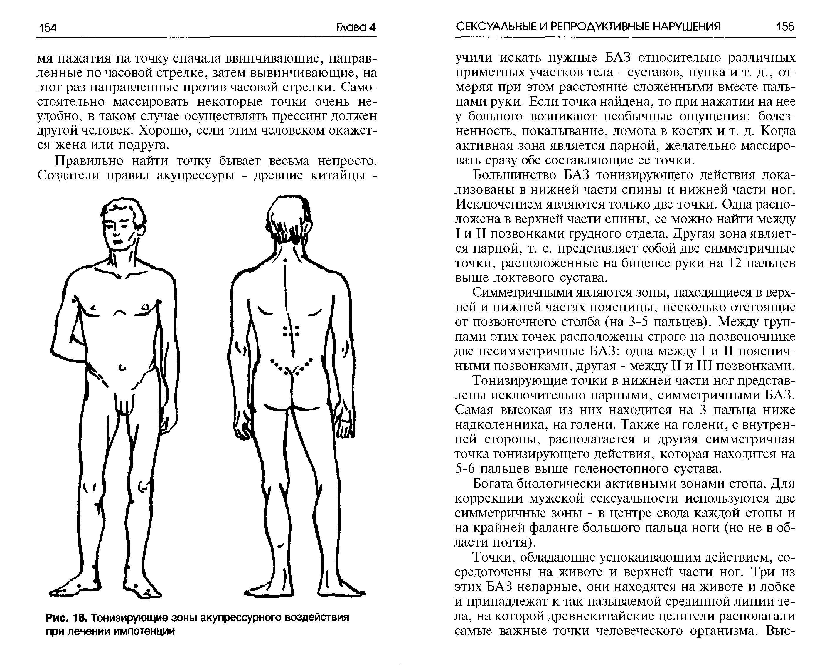 Рис. 18. Тонизирующие зоны акупрессурного воздействия при лечении импотенции...