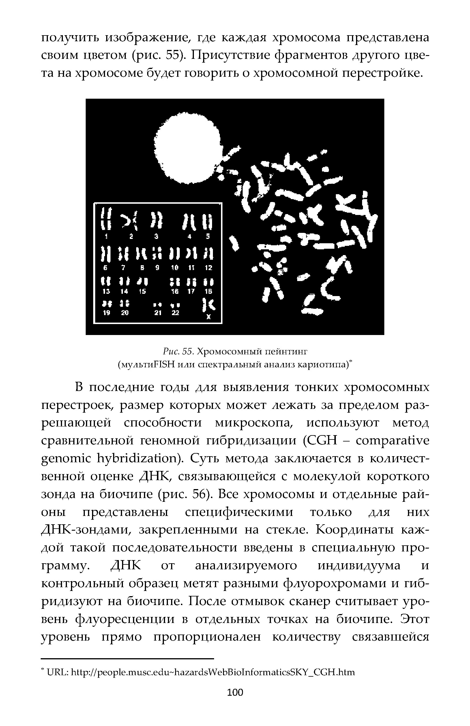 Рис. 55. Хромосомный пейнтинг (мультиБКН или спектральный анализ кариотипа) ...