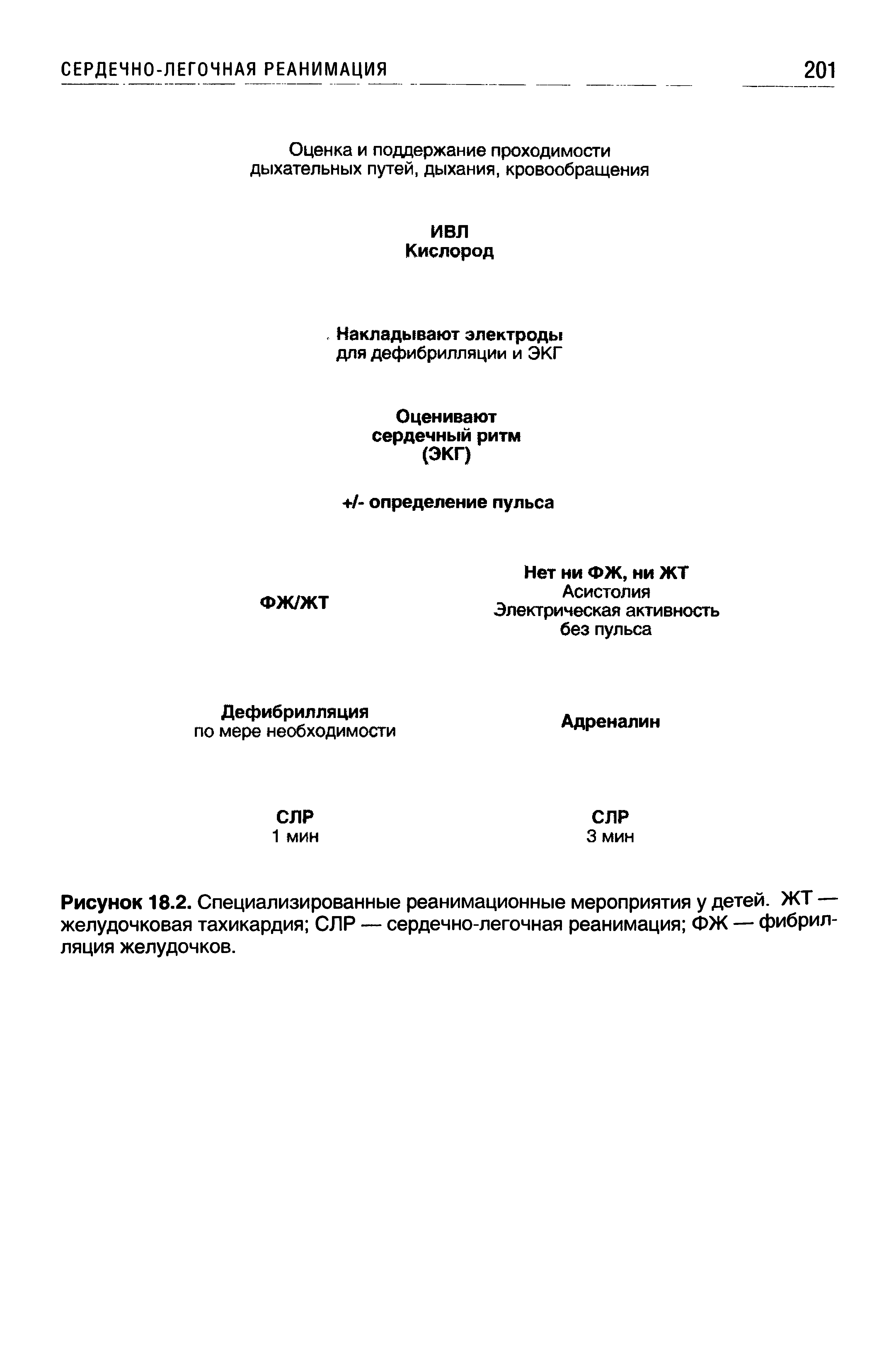 Рисунок 18.2. Специализированные реанимационные мероприятия у детей. ЖТ — желудочковая тахикардия СЛР — сердечно-легочная реанимация ФЖ — фибрилляция желудочков.
