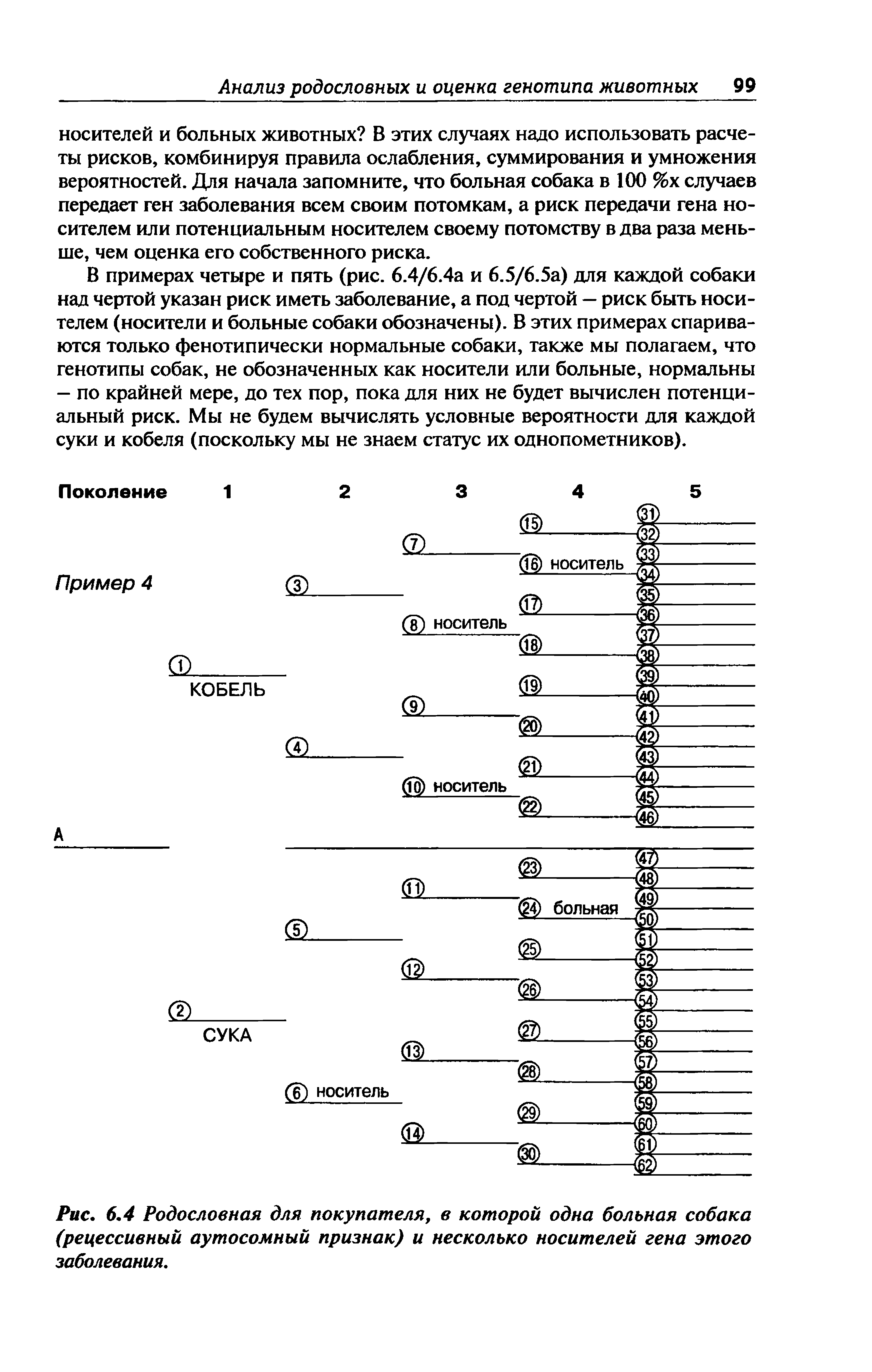 Рис. 6.4 Родословная для покупателя, в которой одна больная собака (рецессивный аутосомный признак) и несколько носителей гена этого заболевания.