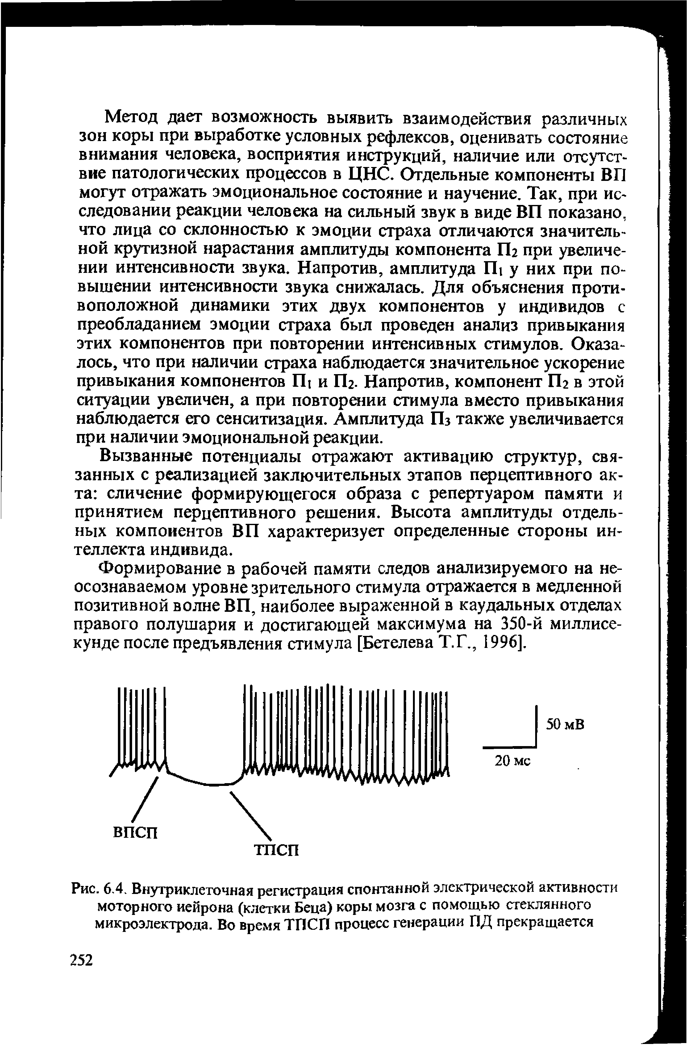 Рис. 6.4. Внутриклеточная регистрация спонтанной электрической активности моторного нейрона (клетки Беца) коры мозга с помощью стеклянного микроэлектрода. Во время ТПСП процесс генерации ПД прекращается...