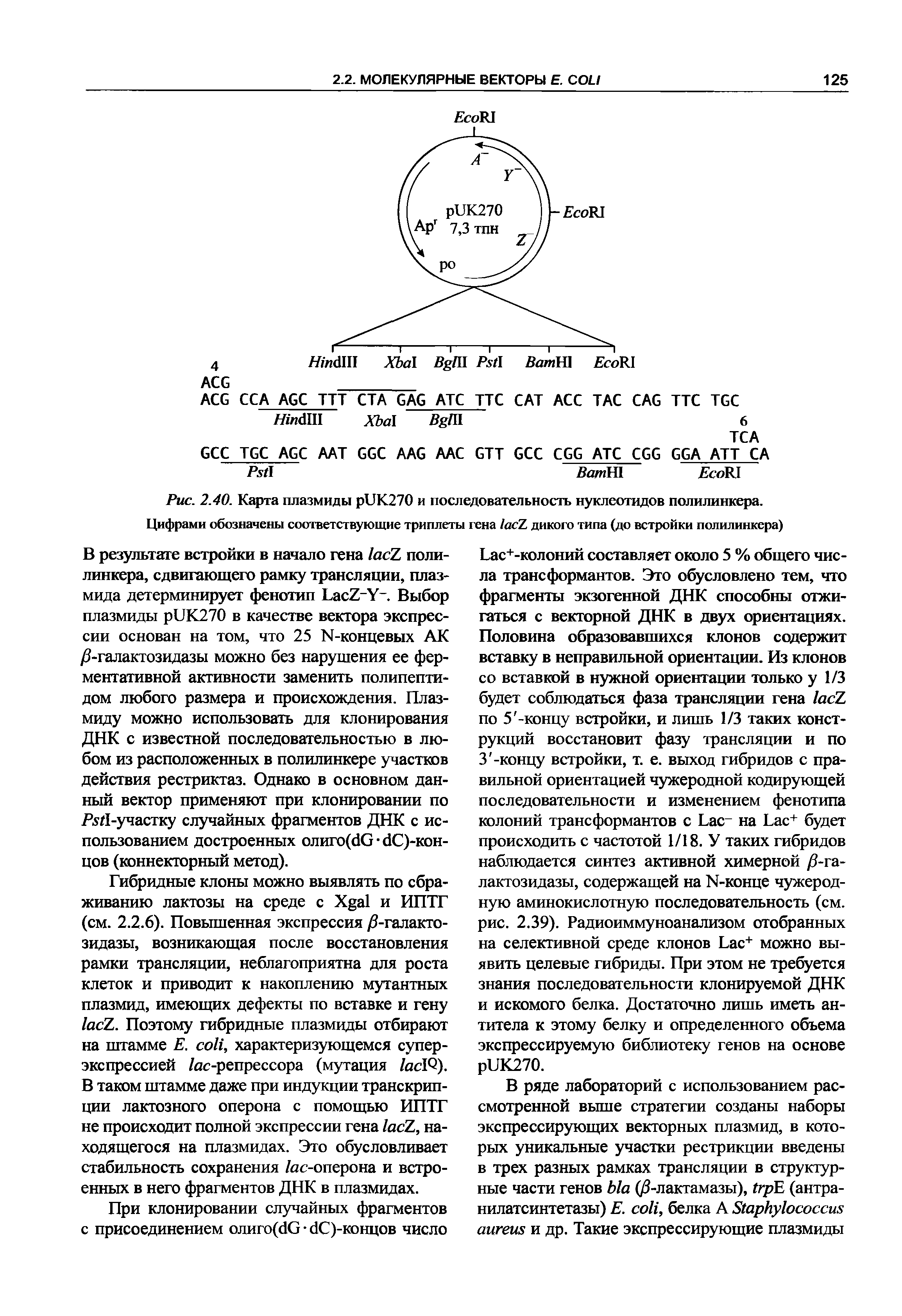 Рис. 2.40. Карта плазмиды рС1К270 и последовательность нуклеотидов полилинкера. Цифрами обозначены соответствующие триплеты гена 1ас7. дикого типа (до встройки полилинкера)...