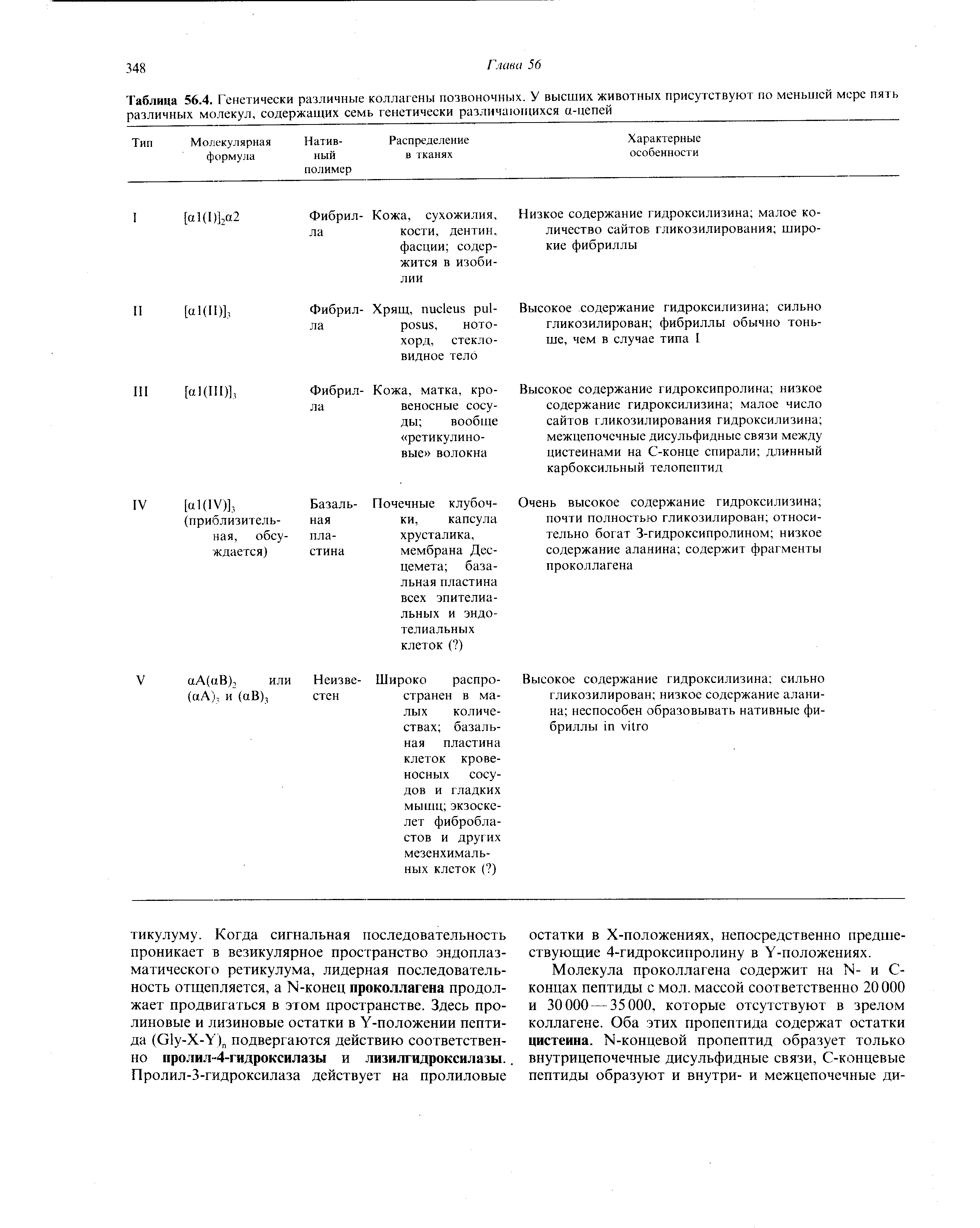 Таблица 56.4. Генетически различные коллагены позвоночных. У высших животных присутствуют по меньшей мере пять различных молекул, содержащих семь генетически различающихся а-цепей ...