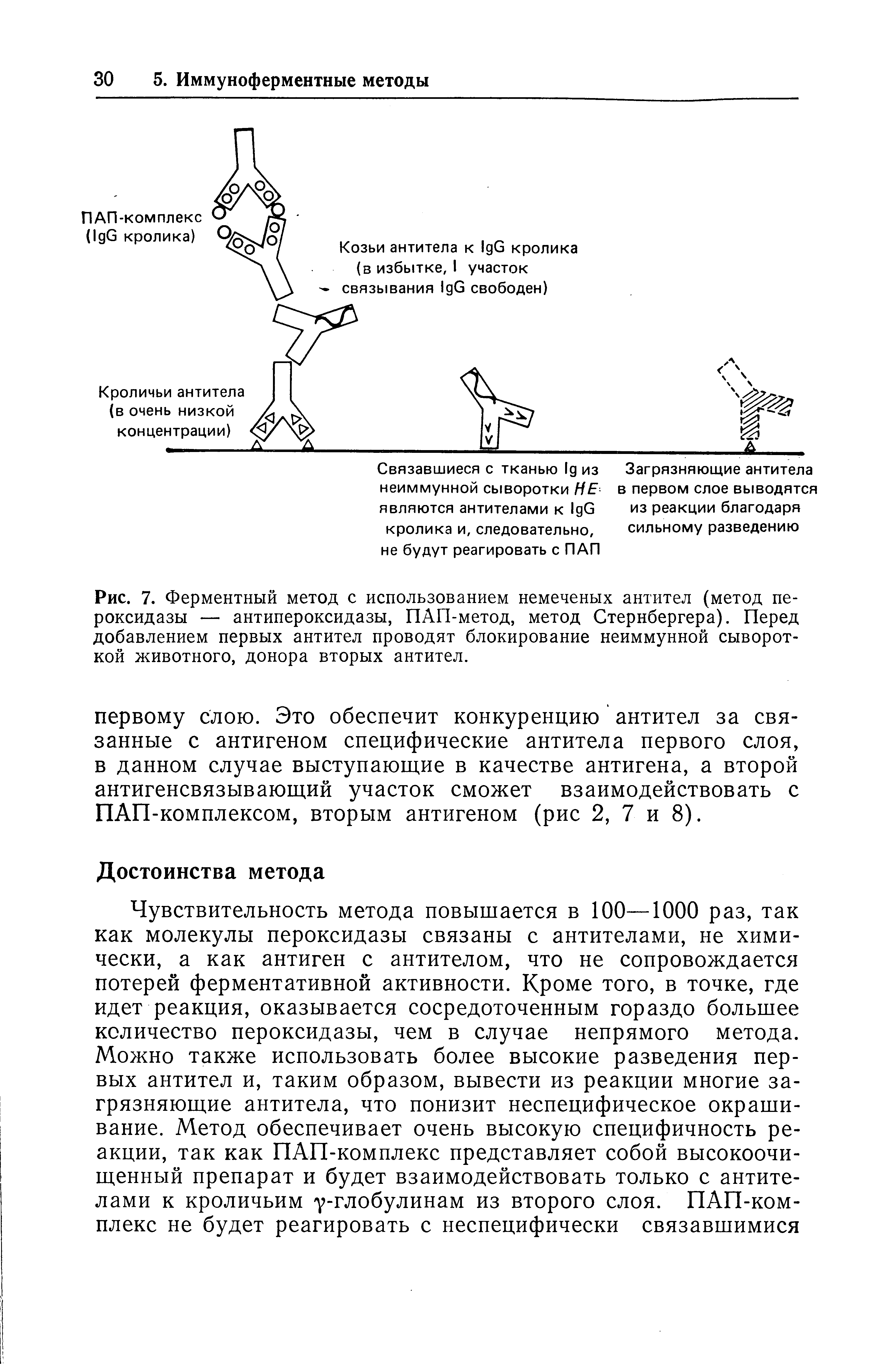 Рис. 7. Ферментный метод с использованием немеченых антител (метод пероксидазы — антипероксидазы, ПАП-метод, метод Стернбергера). Перед добавлением первых антител проводят блокирование неиммунной сывороткой животного, донора вторых антител.