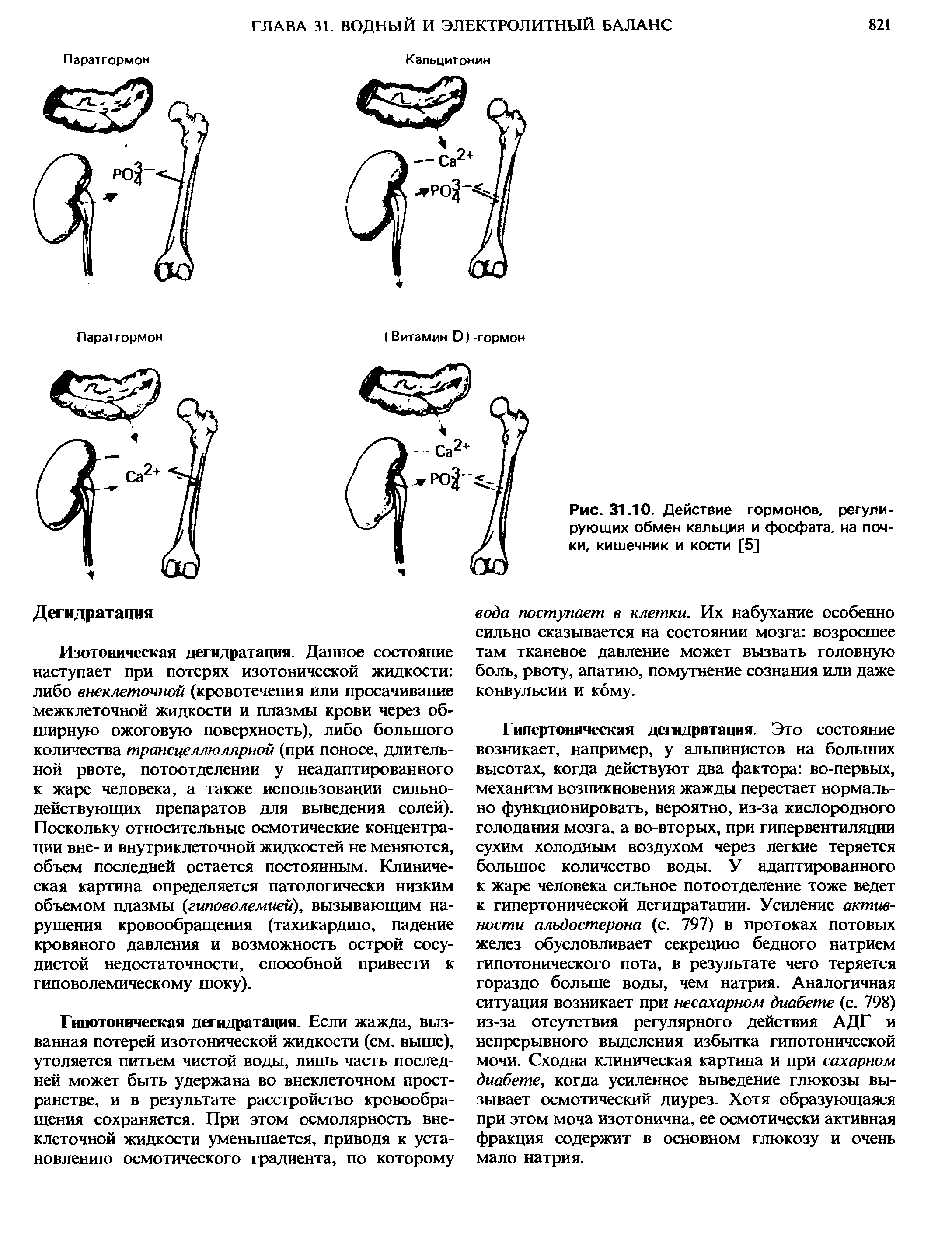 Рис. 31.10. Действие гормонов, регулирующих обмен кальция и фосфата, на почки, кишечник и кости [5]...