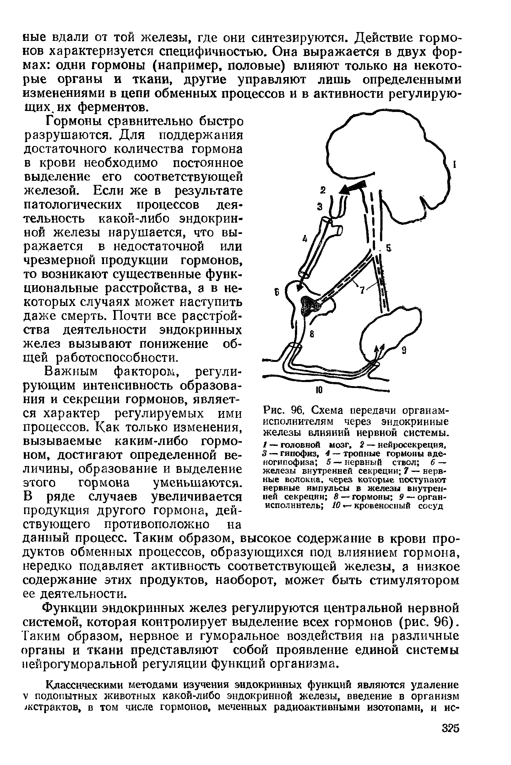 Рис. 96. Схема передачи органам-исполнителям через эндокринные железы влияний нервной системы. / — головной мозг, 2 — нейросекреция. 3 — гипофиз, 4 — тропные гормоны аденогипофиза 5 —нервный ствол 6 — железы внутренней секреции 7 — нервные волокна, через которые поступают нервные импульсы в железы внутренней секреции 8 — гормоны 9 — орган-исполннтель 10 — кровеносный сосуд...