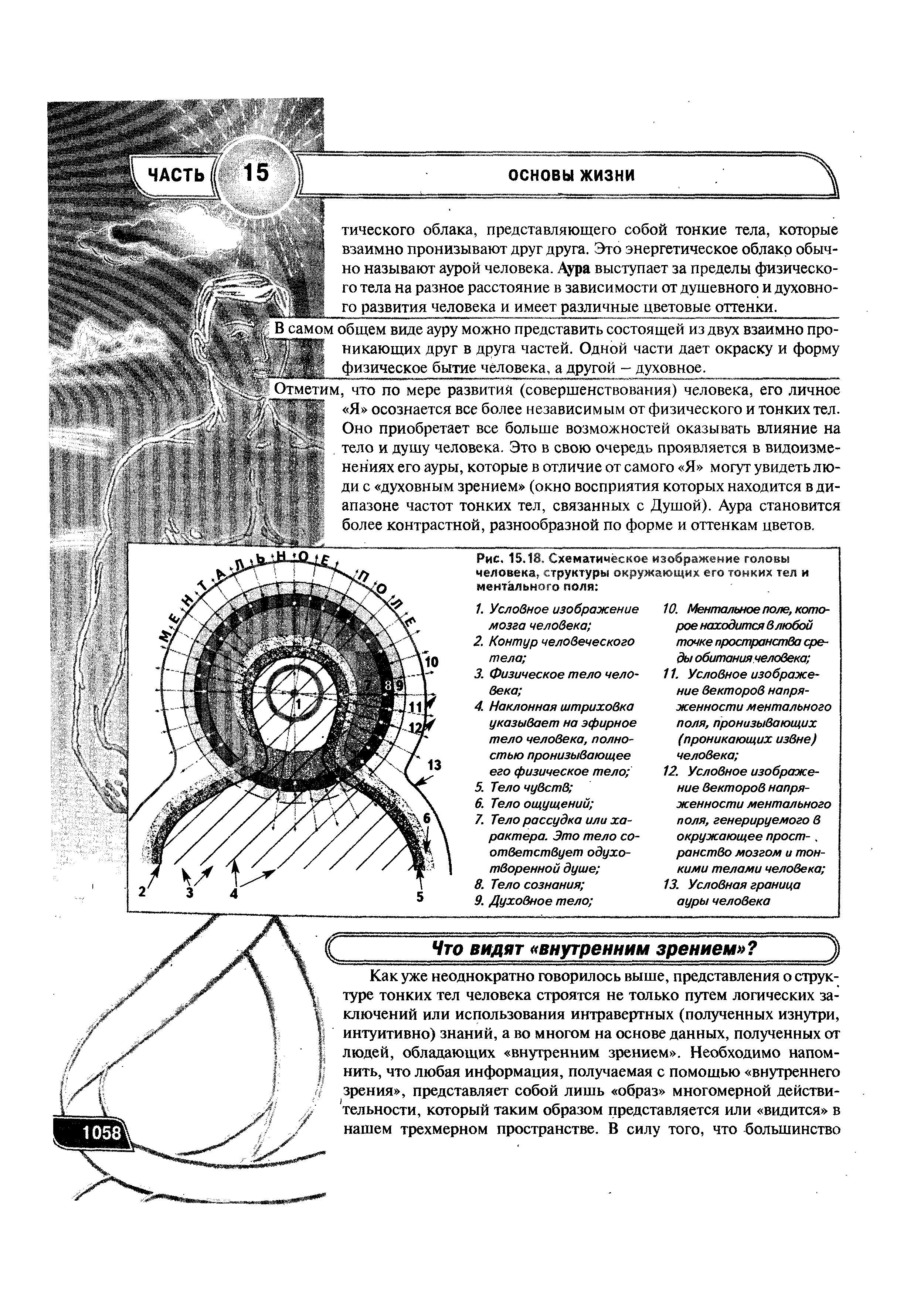 Рис. 15.18. Схематическое изображение головы человека, структуры окружающих его тонких тел и ментального поля ...