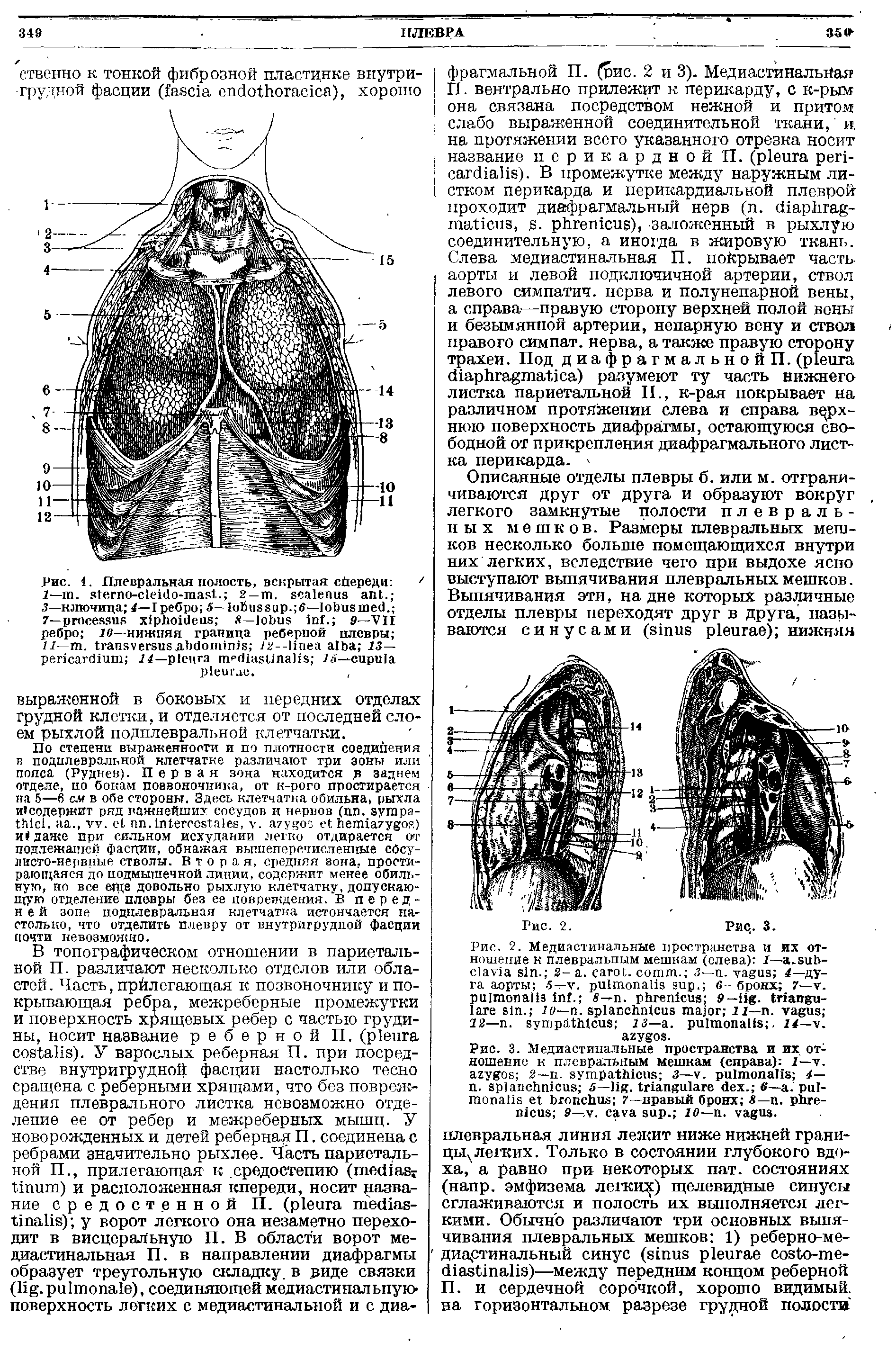 Рис. 3. Медиастинальные Пространства и их отношение к плевральным мешкам (справа) Г— . 2—п. 3— . 4— . — . . S— . - 7— правый бронх 3— . - 9— . . 10— . .