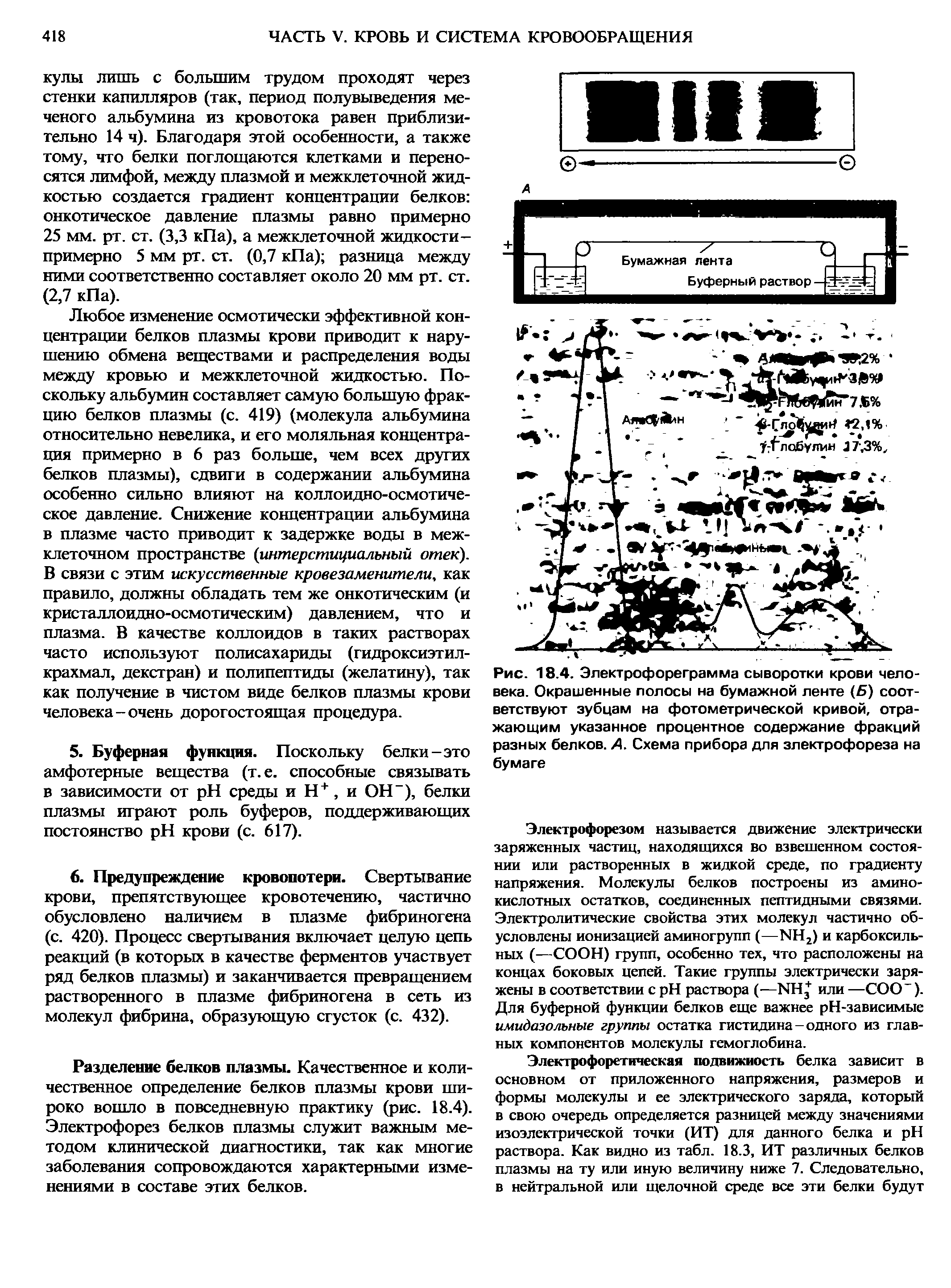 Рис. 18.4. Электрофореграмма сыворотки крови человека. Окрашенные полосы на бумажной ленте (Б) соответствуют зубцам на фотометрической кривой, отражающим указанное процентное содержание фракций разных белков. А. Схема прибора для электрофореза на бумаге...