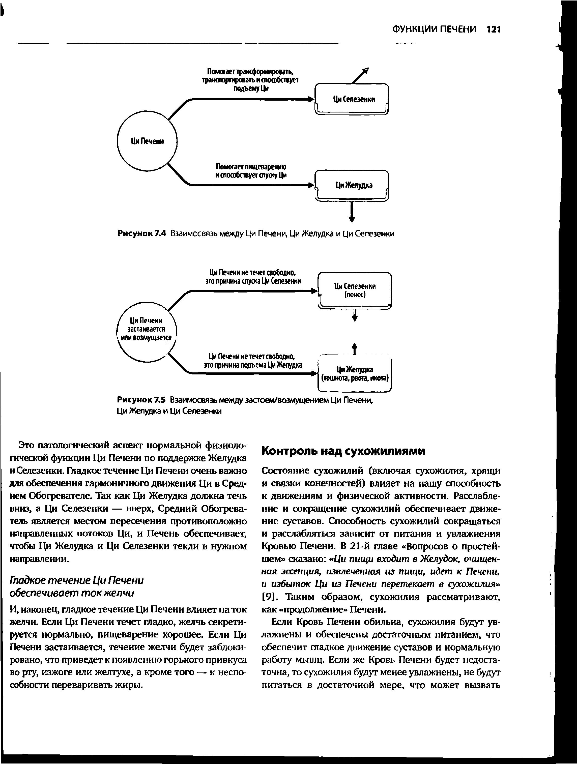 Рисунок 7.4 Взаимосвязь между Ци Печени, Ци Желудка и Ци Селезенки...