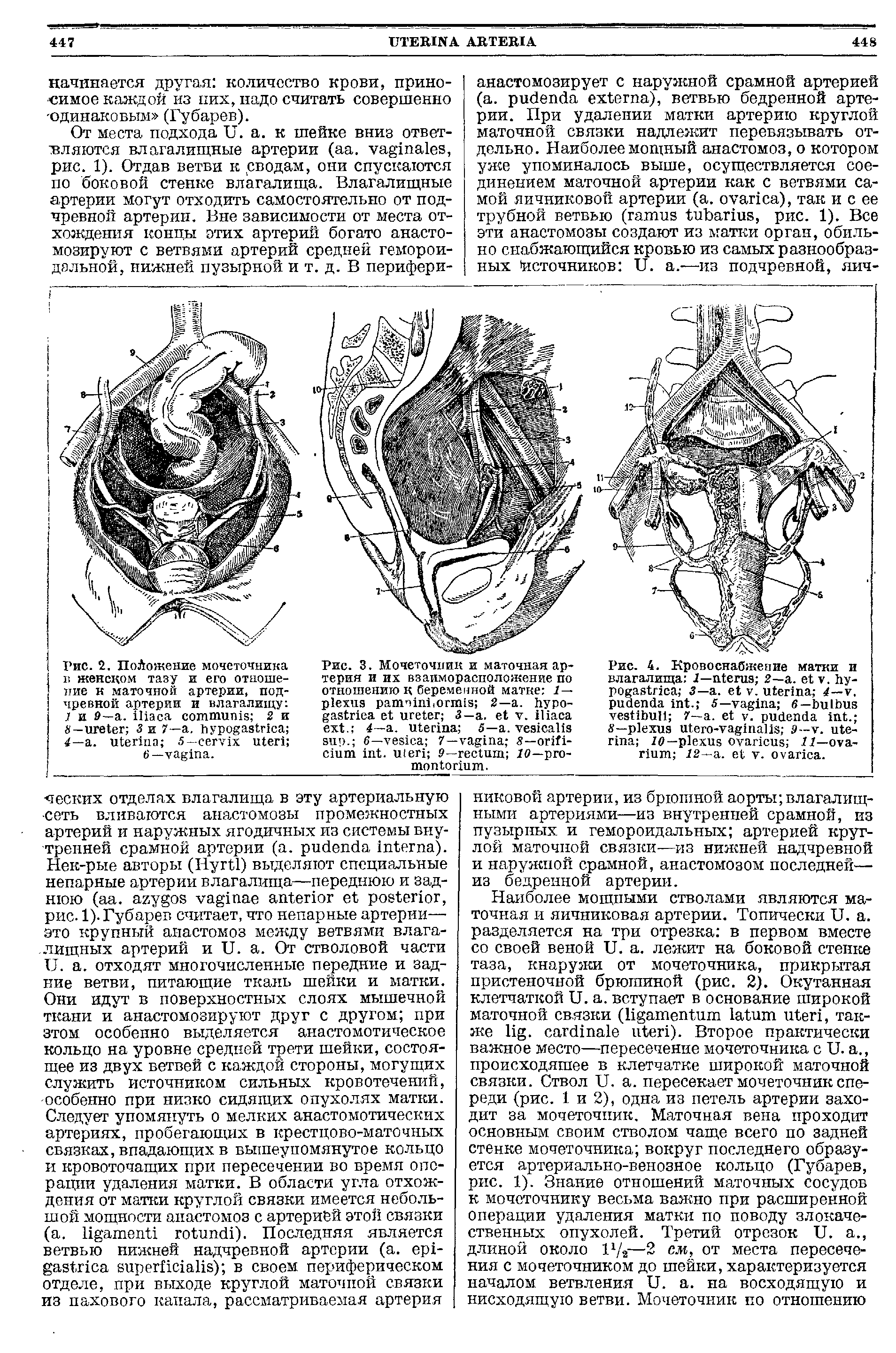 Рис. 2. ПоЛожение мочеточника в женском тазу и его отношение к маточной артерии, подчревной артерии и влагалищу 1 и 9—а. Шаса 2 и 8 — 3 и 7— . 4— . 5— ...