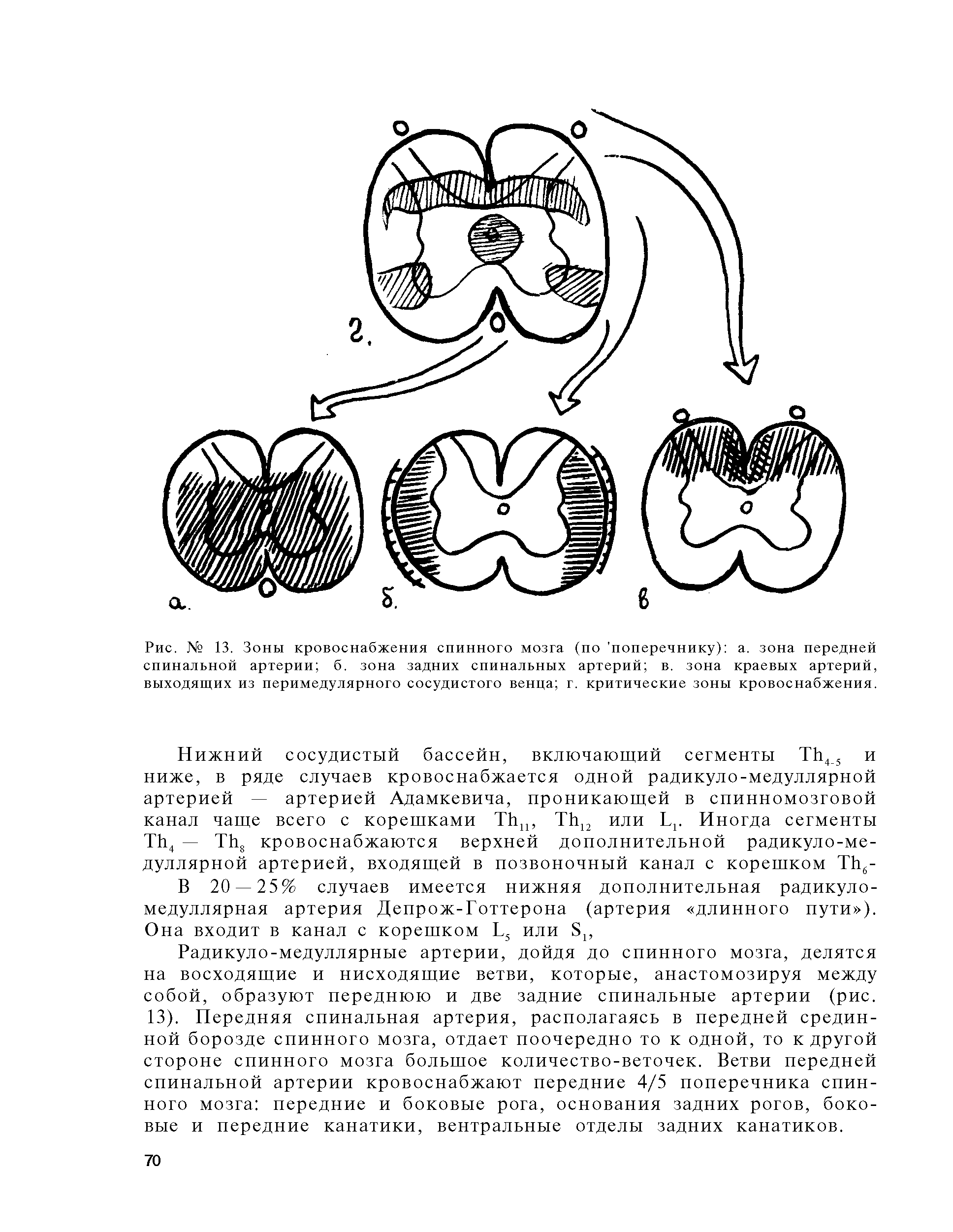 Рис. № 13. Зоны кровоснабжения спинного мозга (по поперечнику) а. зона передней спинальной артерии б. зона задних спинальных артерий в. зона краевых артерий, выходящих из перимедулярного сосудистого венца г. критические зоны кровоснабжения.