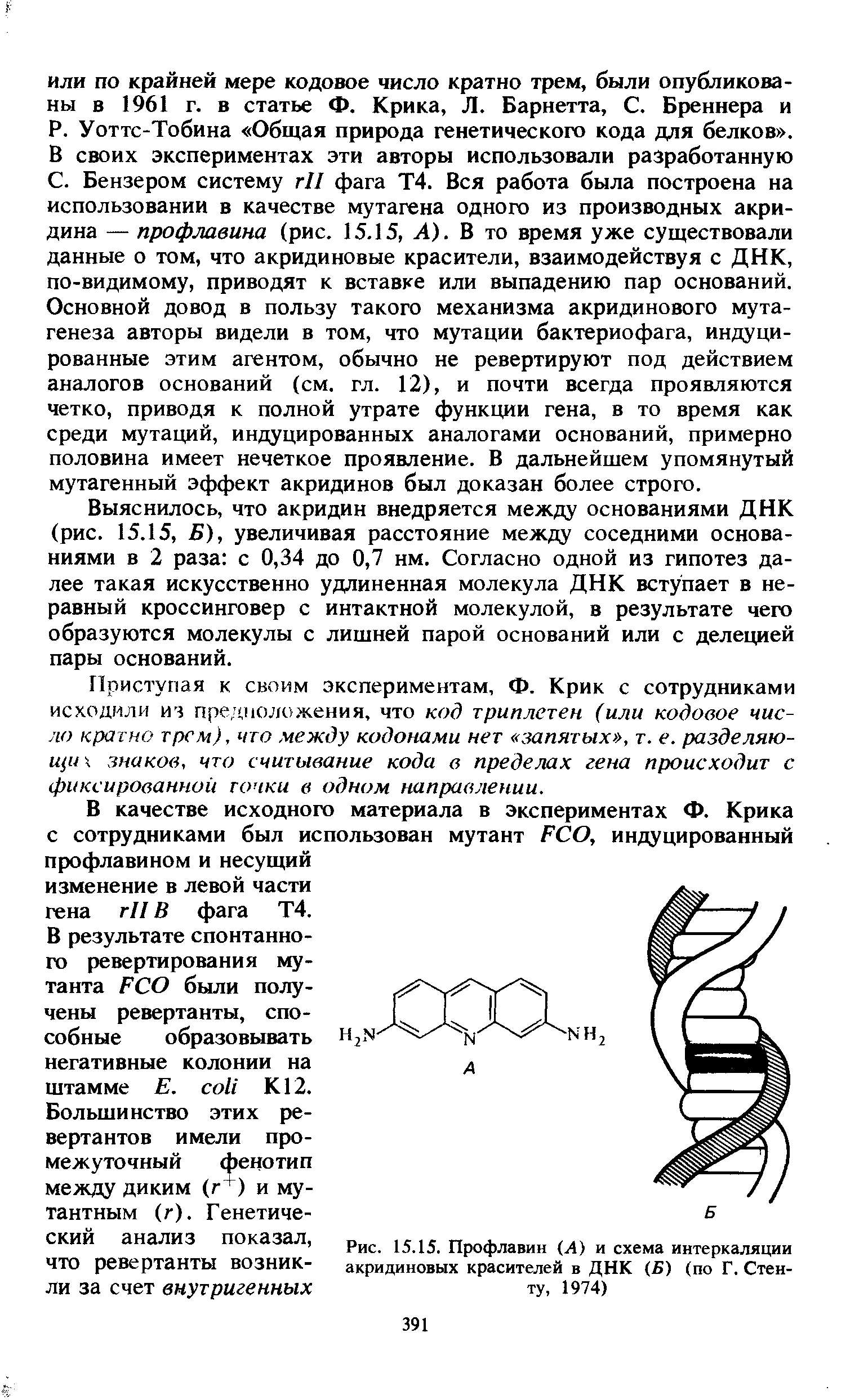 Рис. 15.15. Профлавин (Л) и схема интеркаляции акридиновых красителей в ДНК (Б) (по Г. Стенту, 1974)...