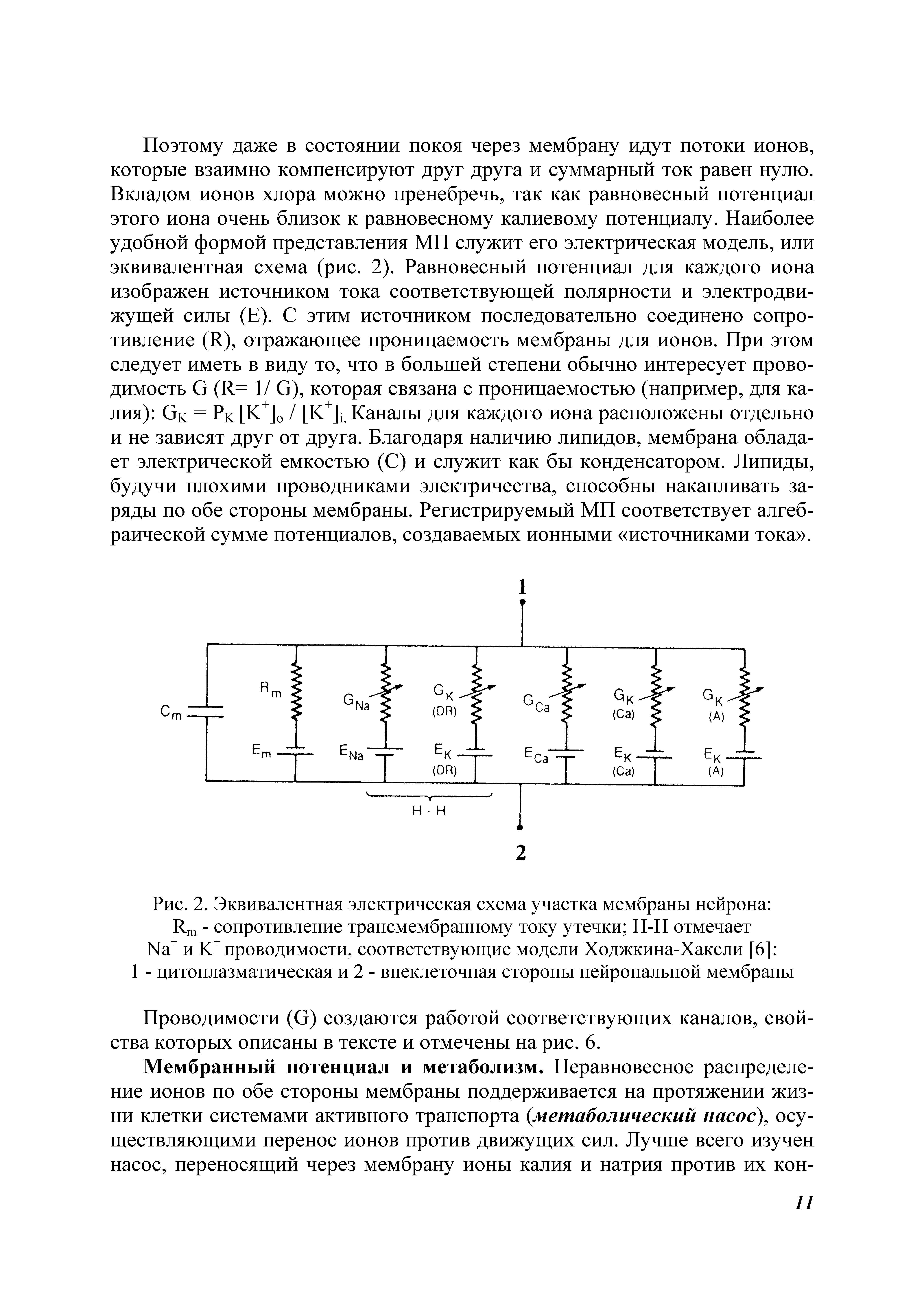 Рис. 2. Эквивалентная электрическая схема участка мембраны нейрона R - сопротивление трансмембранному току утечки Н-Н отмечает N + и К+проводимости, соответствующие модели Ходжкина-Хаксли [6] 1 - цитоплазматическая и 2 - внеклеточная стороны нейрональной мембраны...