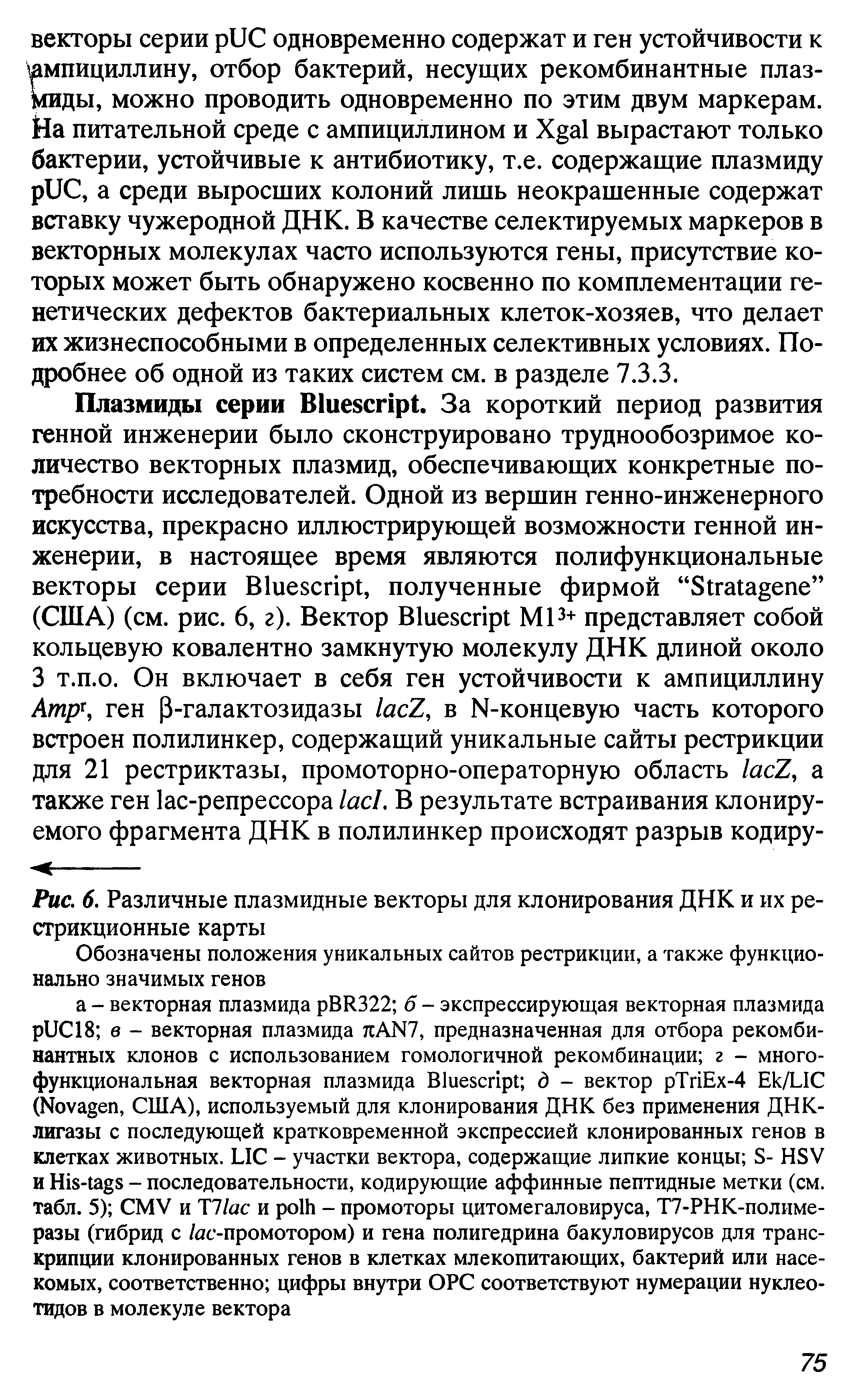 Рис. 6. Различные плазмидные векторы для клонирования ДНК и их рестрикционные карты...