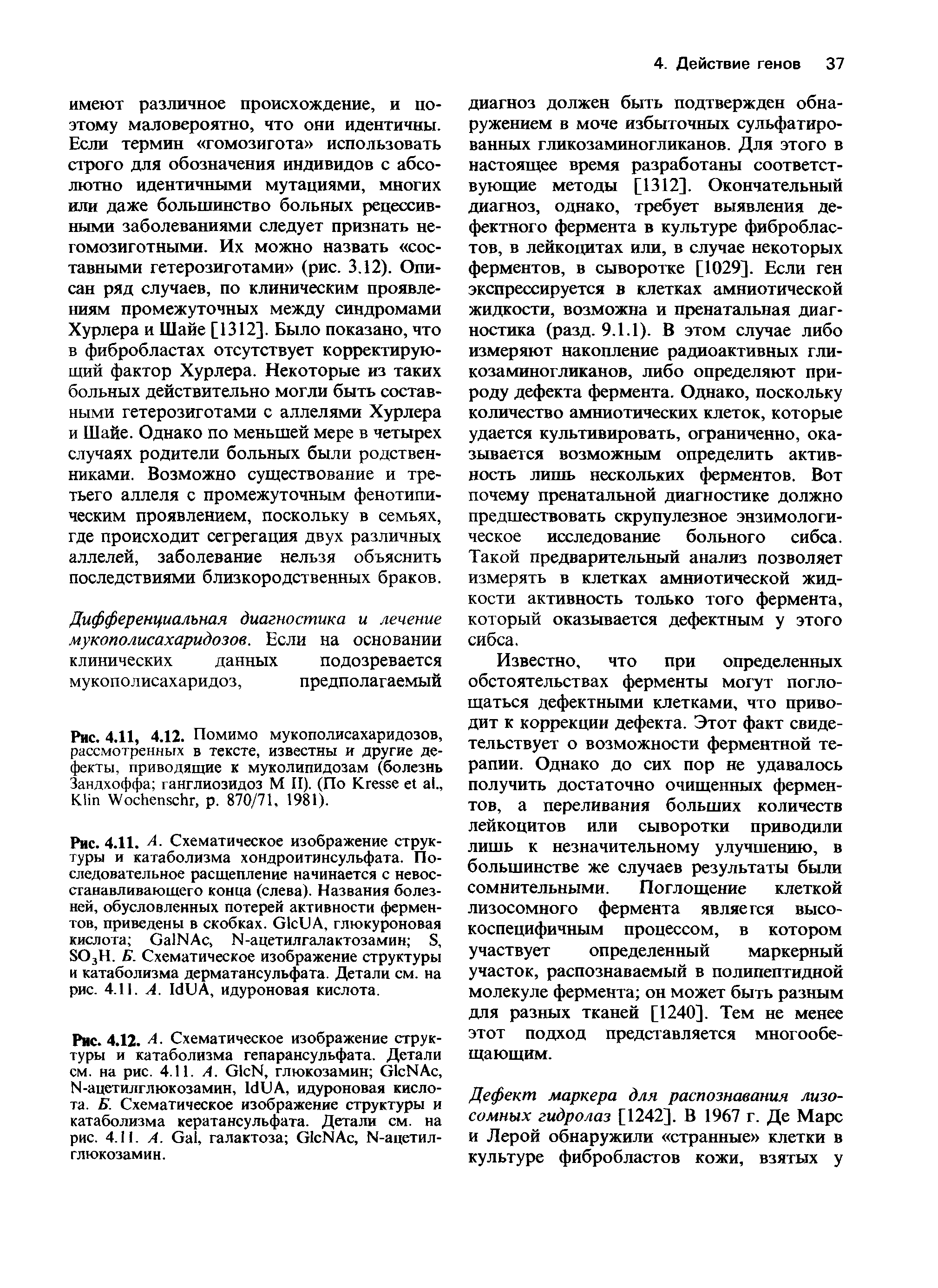 Рис. 4.12. А. Схематическое изображение структуры и катаболизма гепарансульфата. Детали см. на рис. 4.11. A. G N, глюкозамин G NA , N-ацетилглюкозамин, I A, идуроновая кислота. Б. Схематическое изображение структуры и катаболизма кератансульфата. Детали см. на рис. 4.11. A. G , галактоза G NA , N-ацетилглюкозамин.