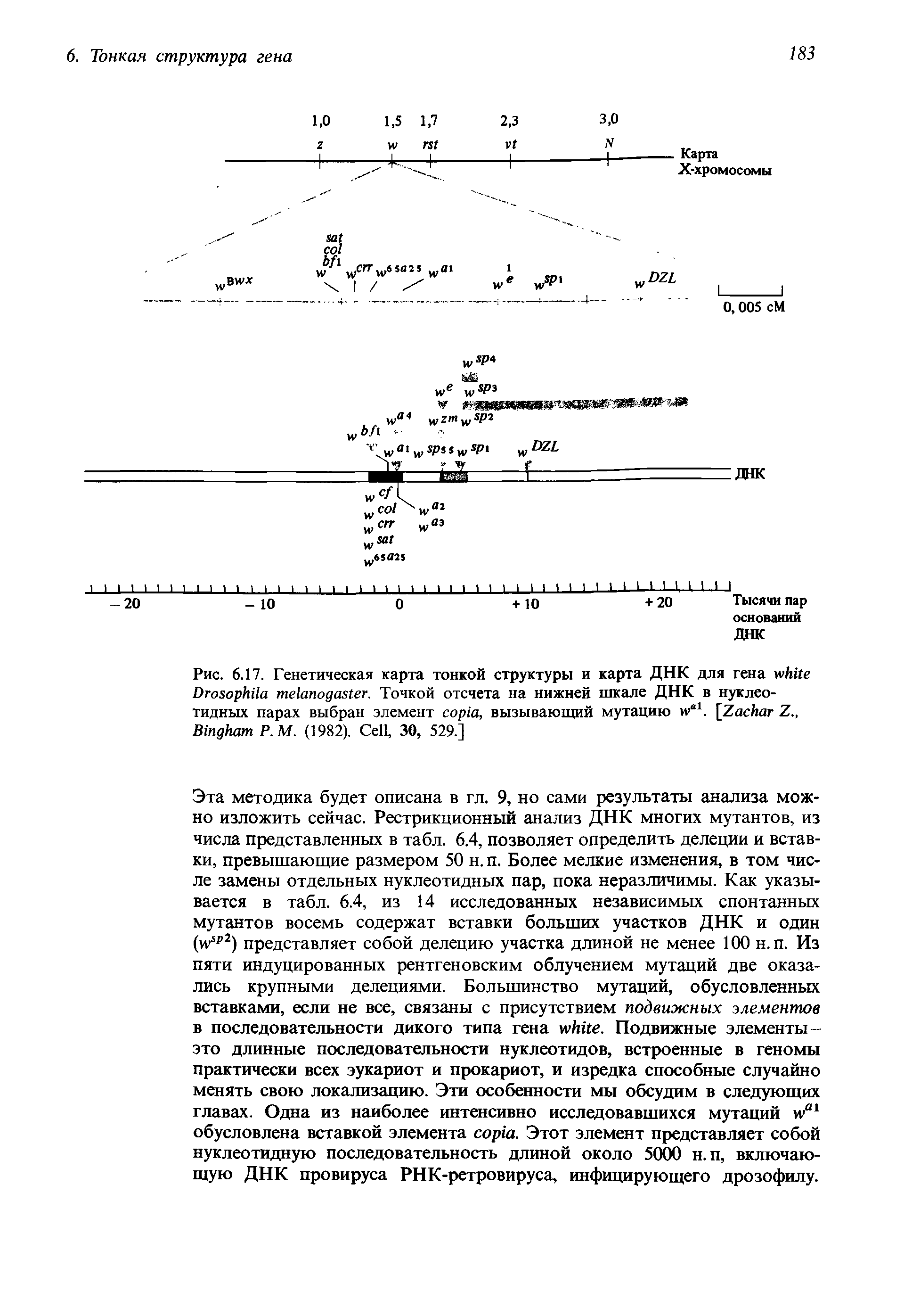 Рис. 6.17. Генетическая карта тонкой структуры и карта ДНК для гена D . Точкой отсчета на нижней шкале ДНК в нуклеотидных парах выбран элемент , вызывающий мутацию 1. [Z Z., B P.M. (1982). C , 30, 529.]...