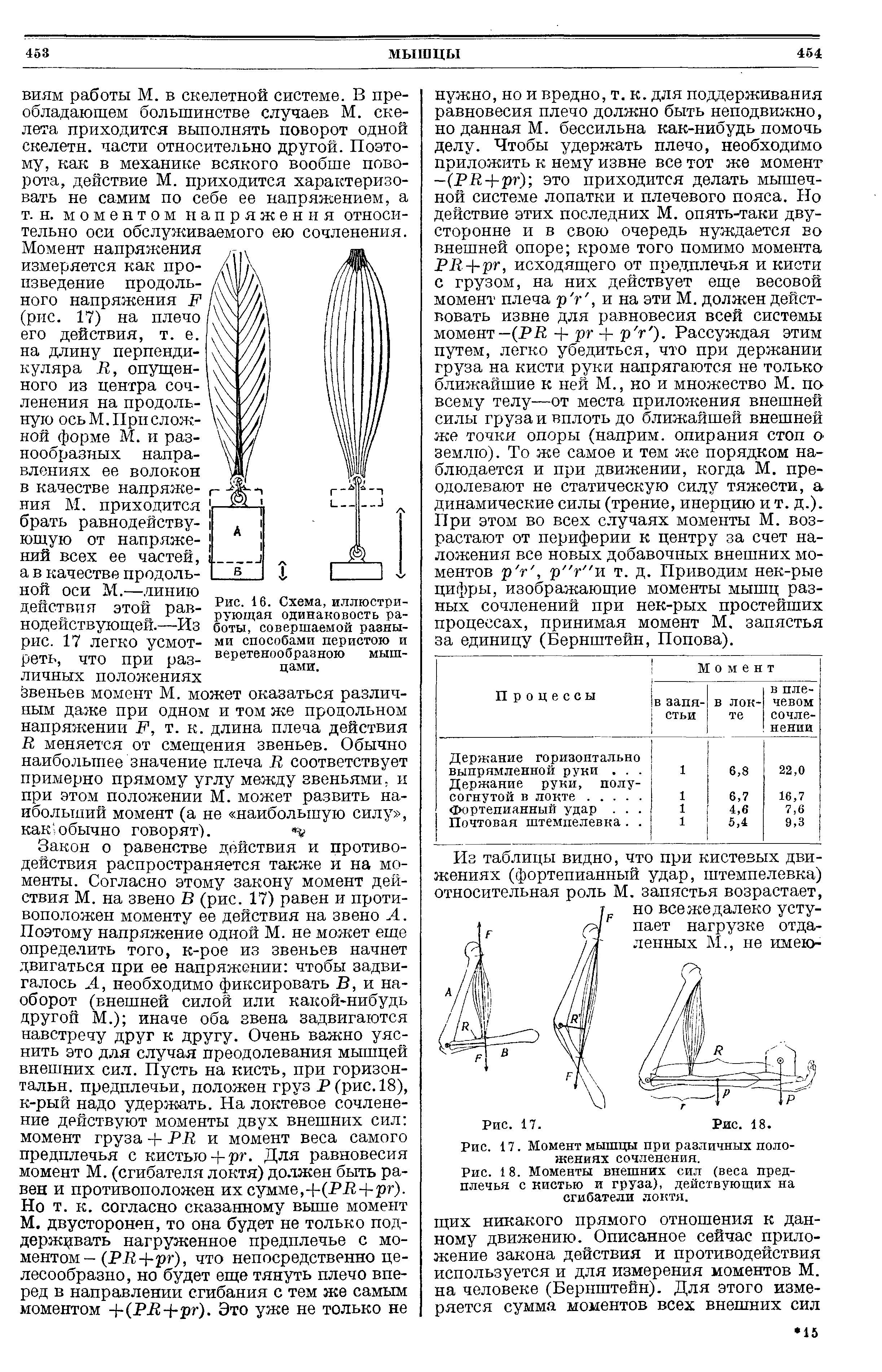 Рис. 16. Схема, иллюстрирующая одинаковость работы, совершаемой разными способами перистою и веретенообразною мышцами.