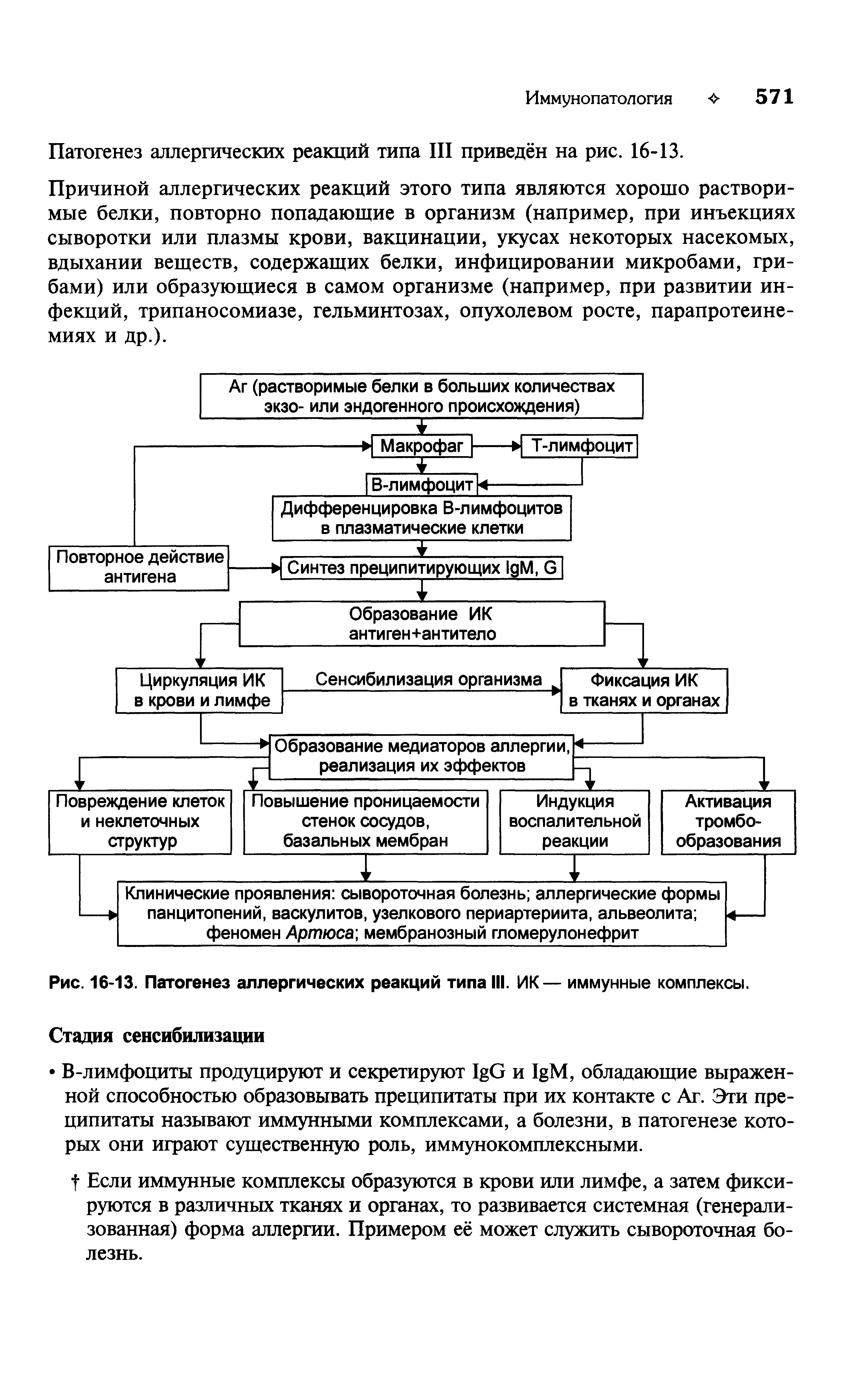 Рис. 16-13. Патогенез аллергических реакций типа III. ИК— иммунные комплексы.