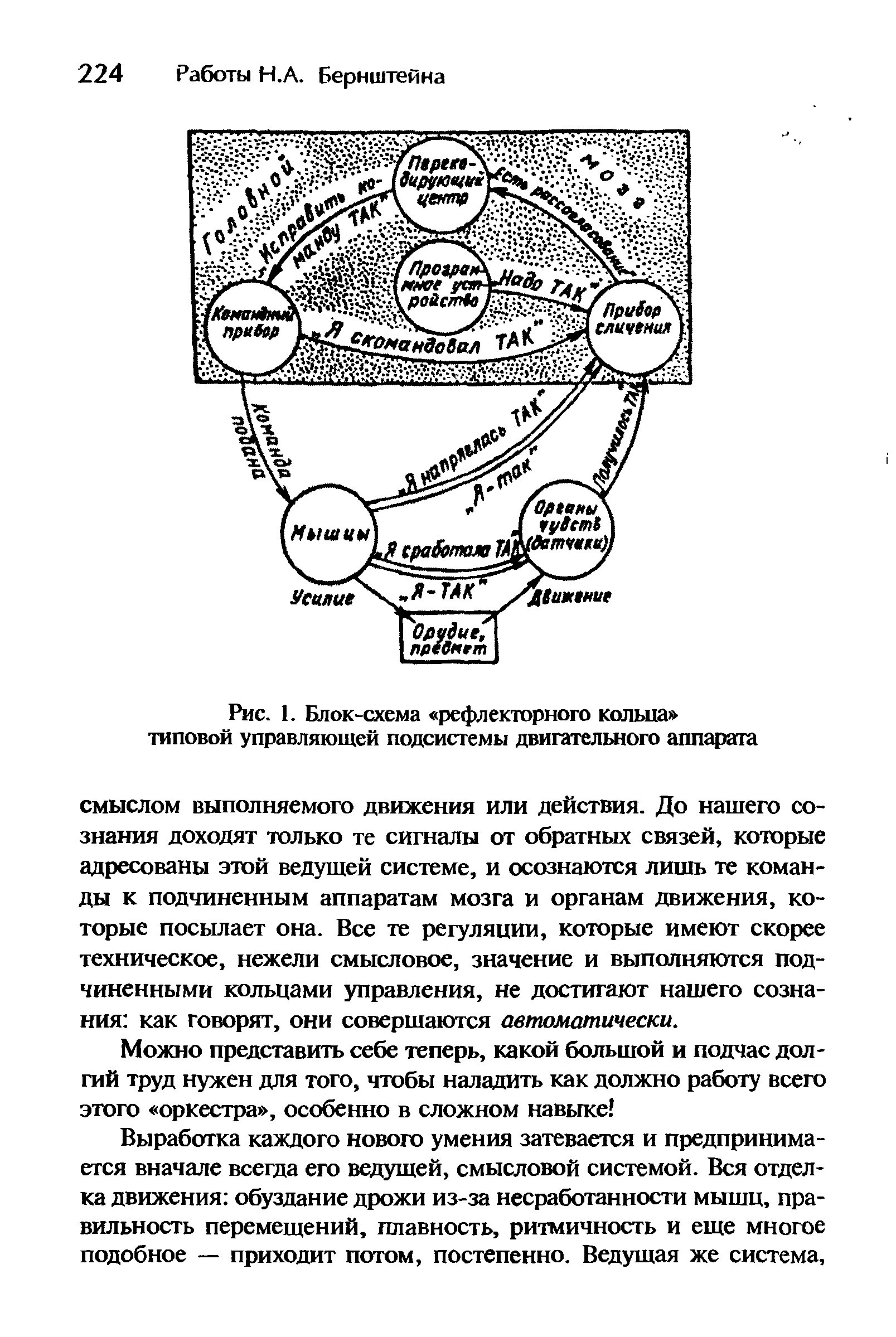 Рис. 1. Блок-схема рефлекторного кольца типовой управляющей подсистемы двигательного аппарата...