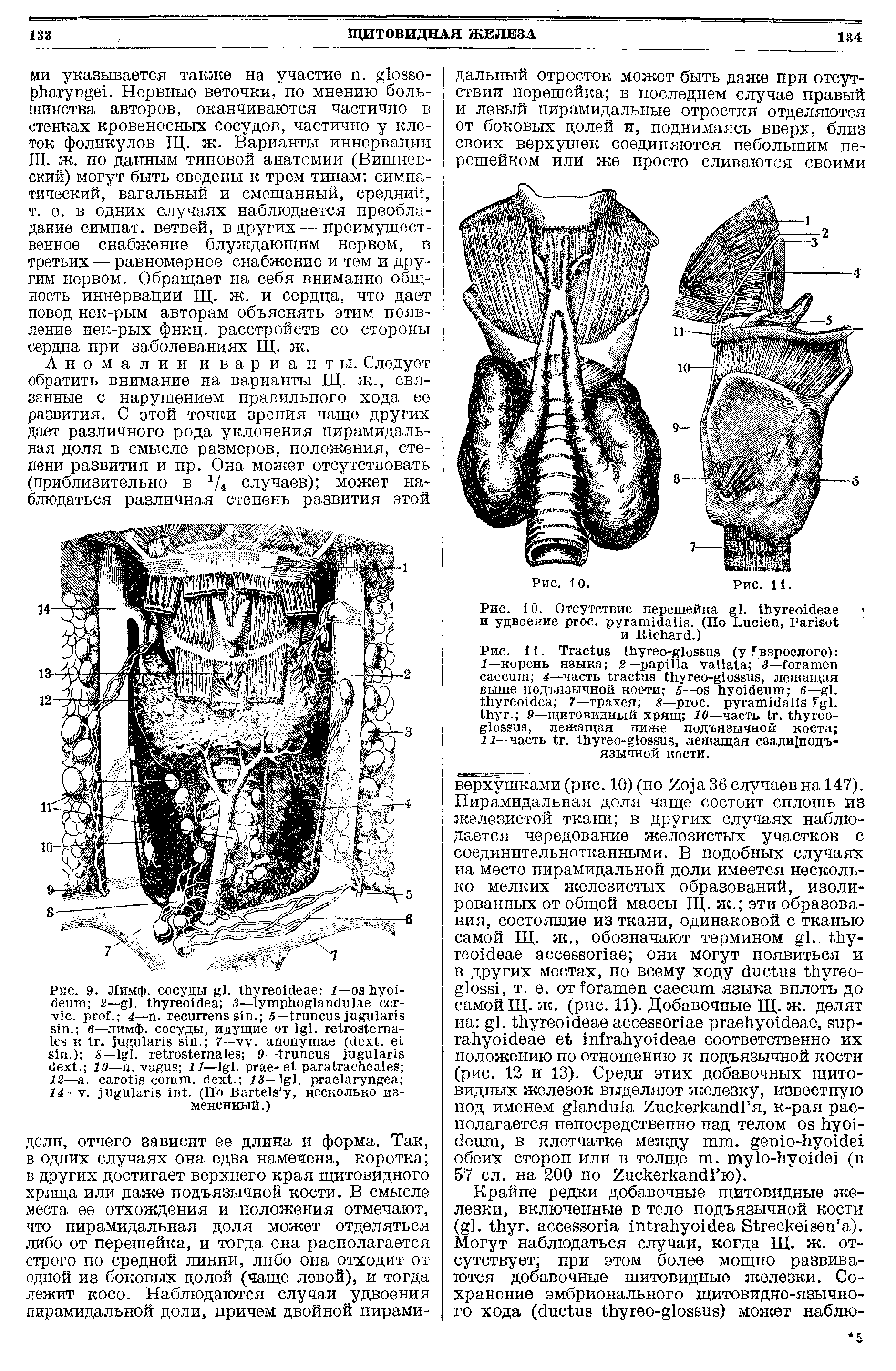 Рис. 10. Отсутствие перешейка . и удвоение , . (По L , P и R .)...