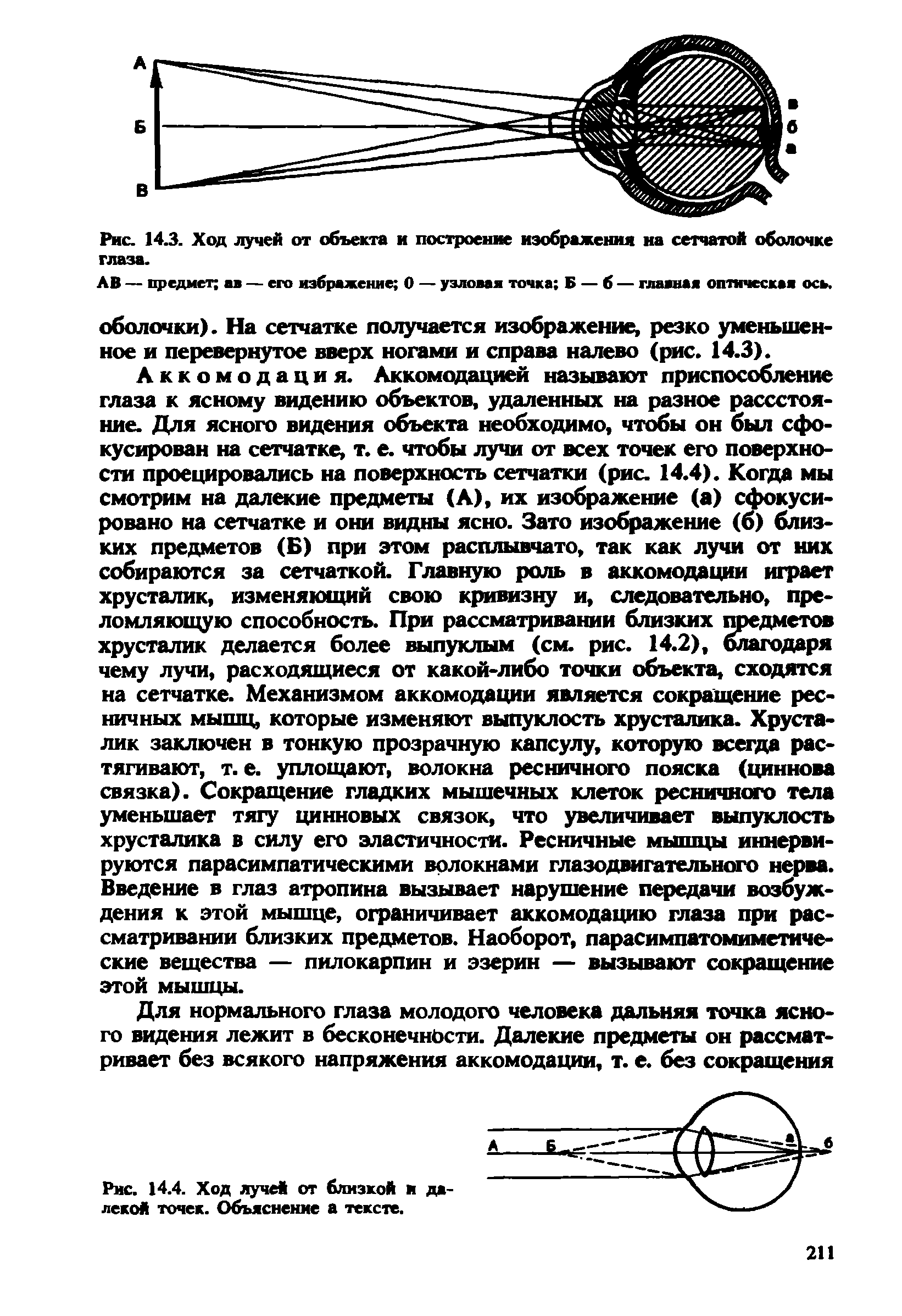 Рис. 14.4. Ход луче от близкой и далекой точек. Объяснение а тексте.