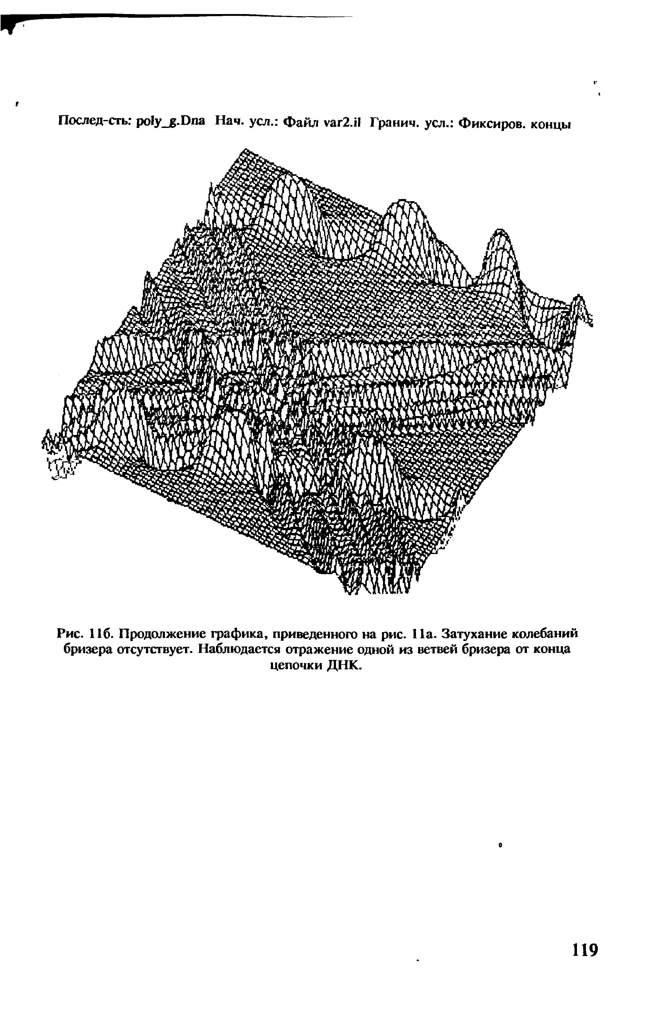 Рис. 116. Продолжение графика, приведенного на рис. 11а. Затухание колебаний бризера отсутствует. Наблюдается отражение одной из ветвей бризера от конца цепочки ДНК.