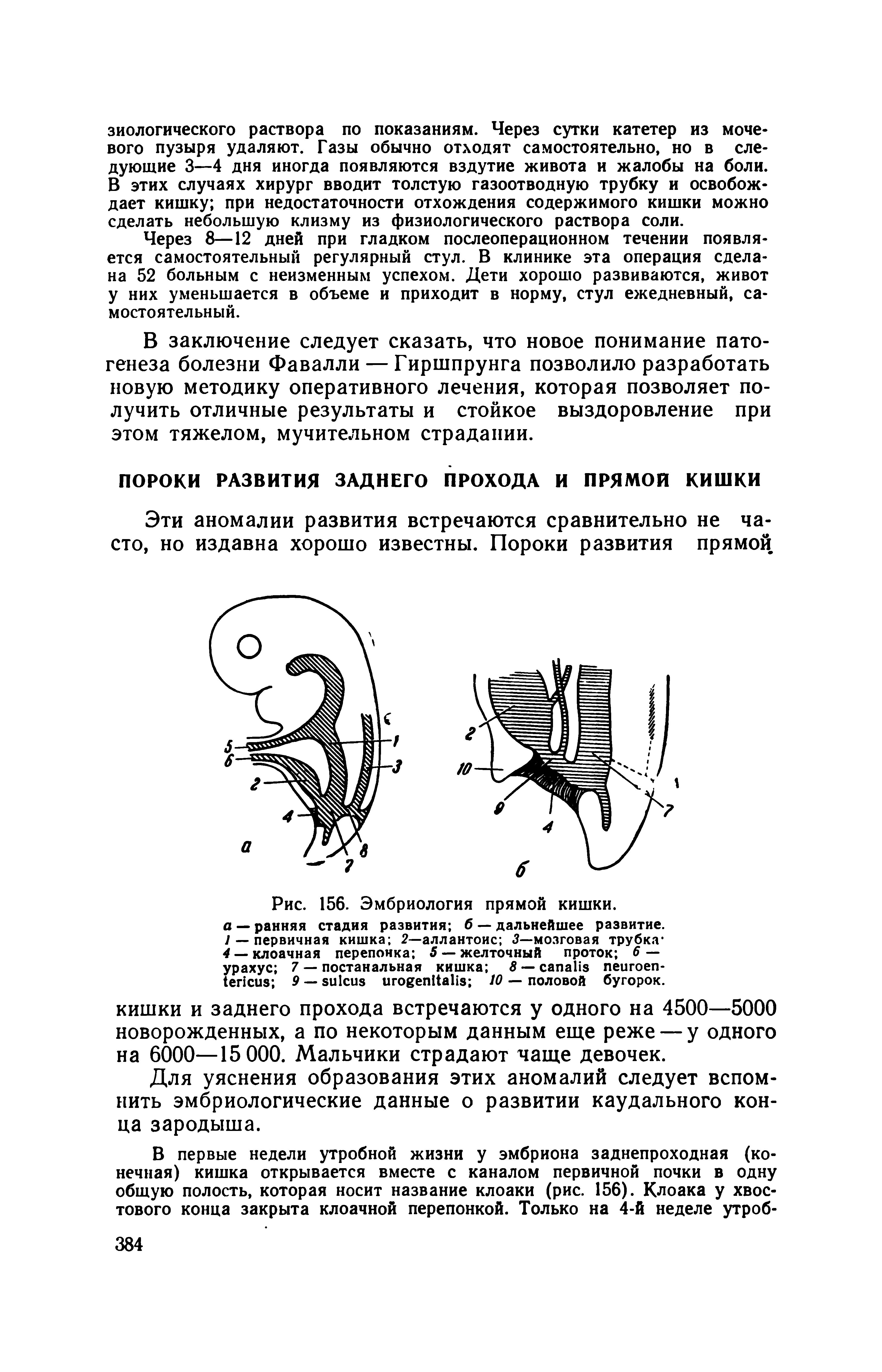 Рис. 156. Эмбриология прямой кишки. а — ранняя стадия развития б — дальнейшее развитие. 1 — первичная кишка 2—аллантоис 3—мозговая трубка-4 —клоачная перепонка 5 — желточный проток 6 — урахус 7 — постанальная кишка 8 — - 9 — 10 — половой бугорок.