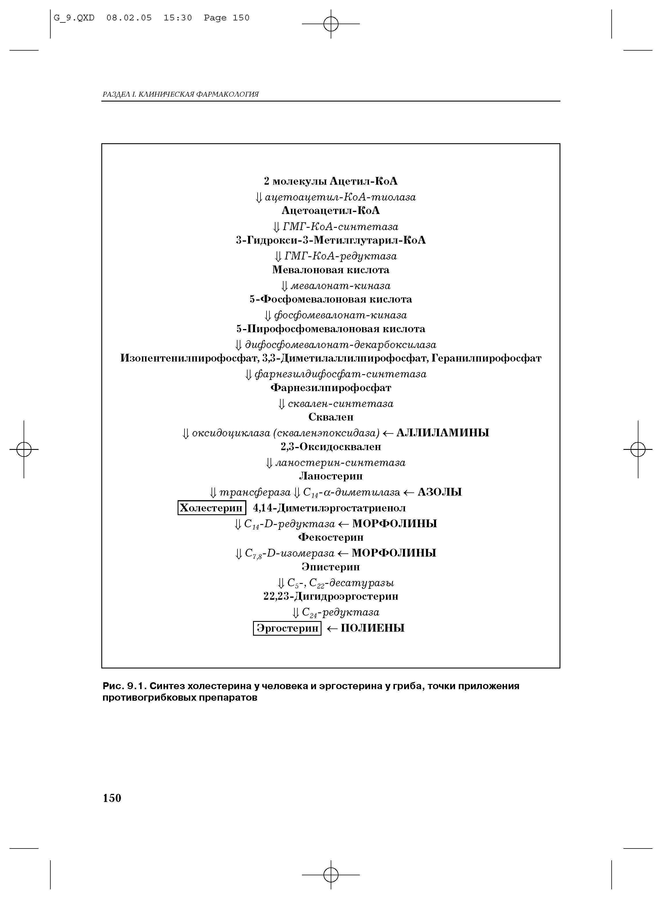 Рис. 9.1. Синтез холестерина у человека и эргостерина у гриба, точки приложения противогрибковых препаратов...