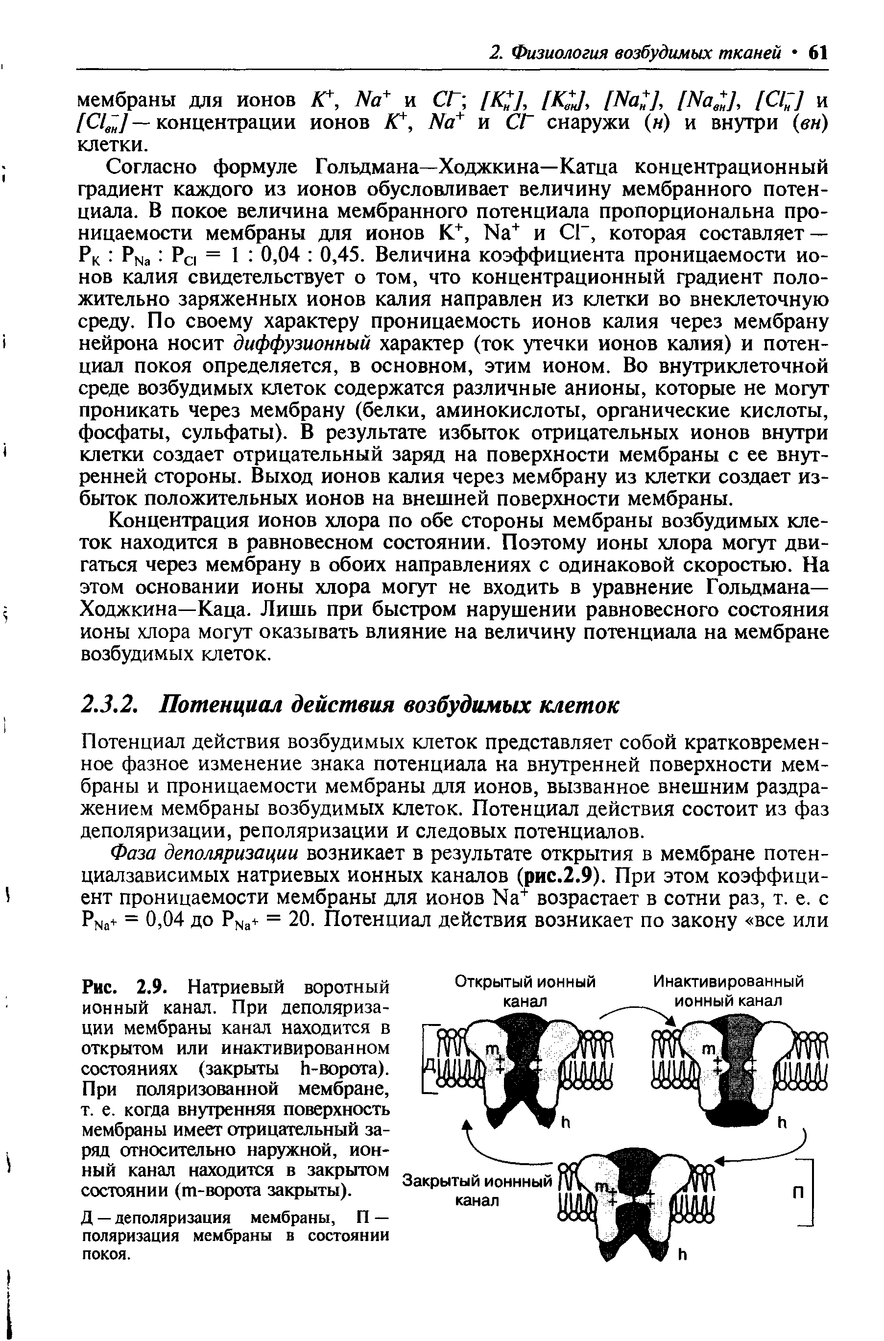 Рис. 2.9. Натриевый воротный ионный канал. При деполяризации мембраны канал находится в открытом или инактивированном состояниях (закрыты Ь-ворота). При поляризованной мембране, т. е. когда внутренняя поверхность мембраны имеет отрицательный заряд относительно наружной, ионный канал находится в закрытом состоянии (т-ворота закрыты).