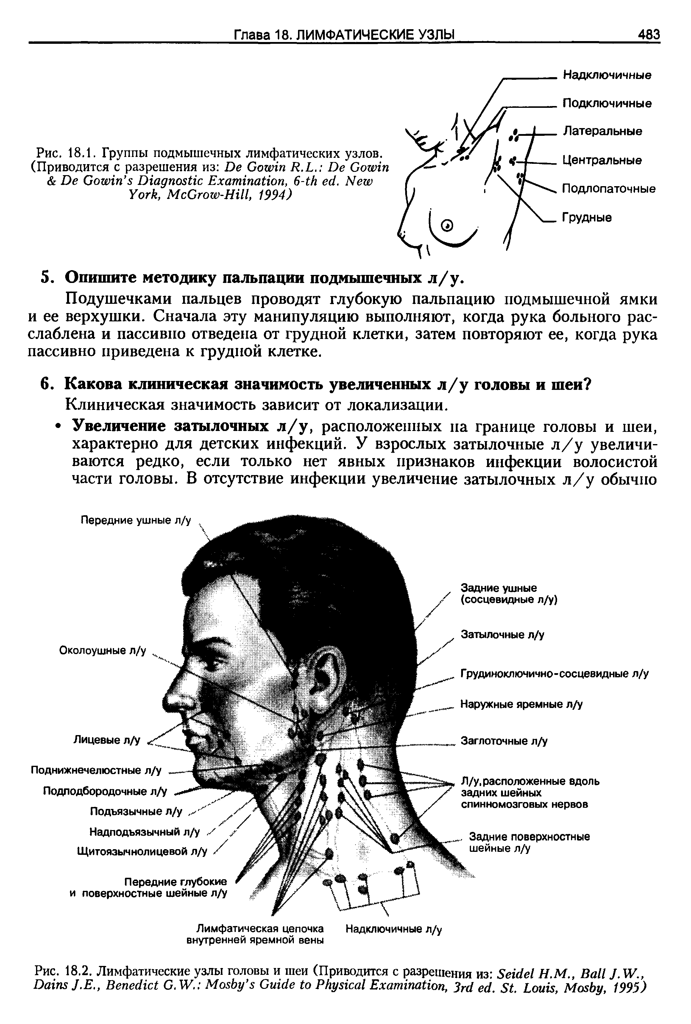 Рис. 18.2. Лимфатические узлы головы и шеи (Приводится с разрешения из S Н.М., B J.W., D J.E., B G. W. M G P E , 3 . S . L , M , 1995)...