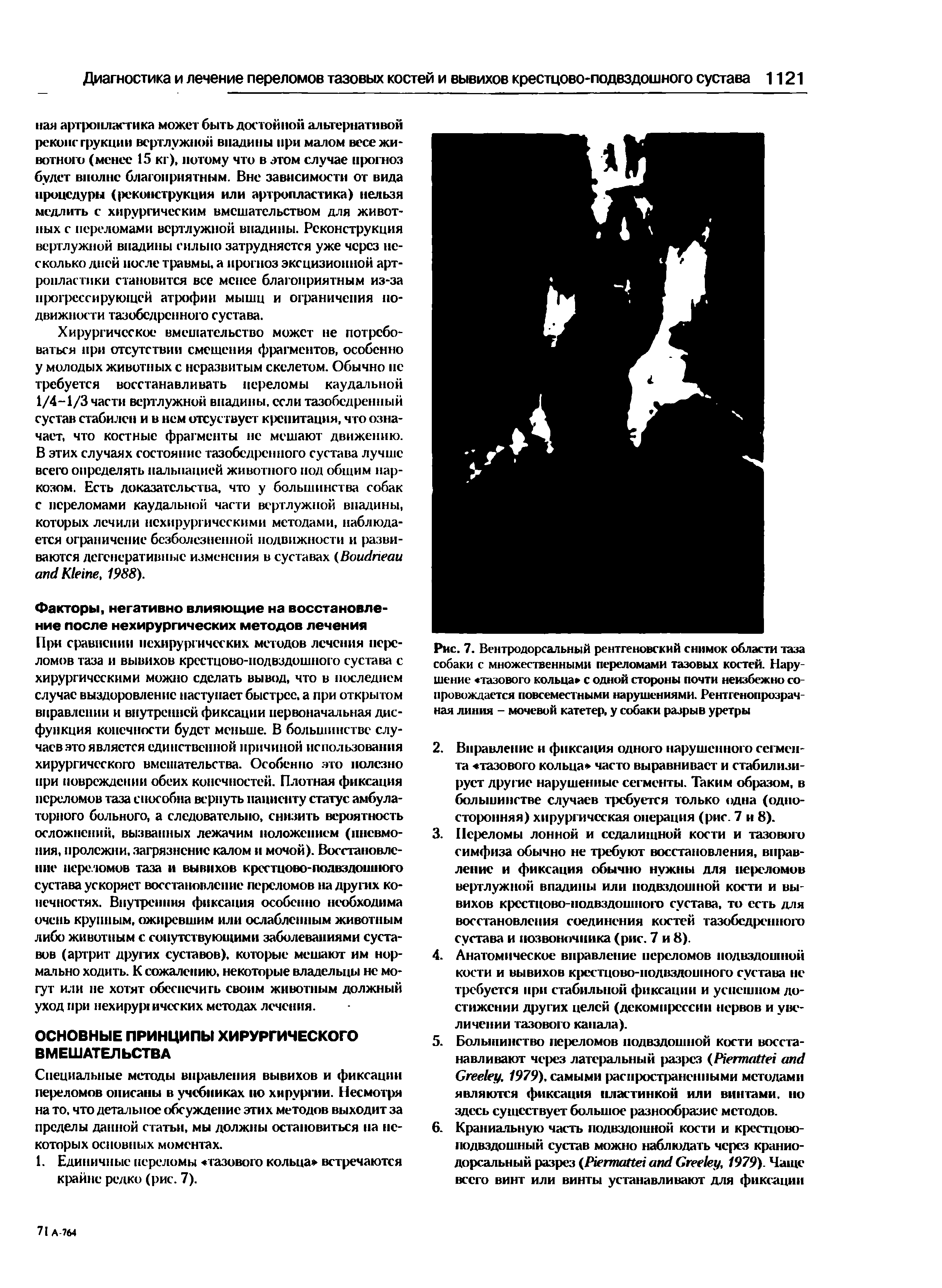 Рис. 7. Вентродорсальный рентгеновский снимок области таза собаки с множественными переломами тазовых костей. Нарушение тазового кольца с одной стороны почти неизбежно сопровождается повсемест ными нарушениями. Рентгенопрозрачная линия - мочевой катетер, у собаки разрыв уретры...