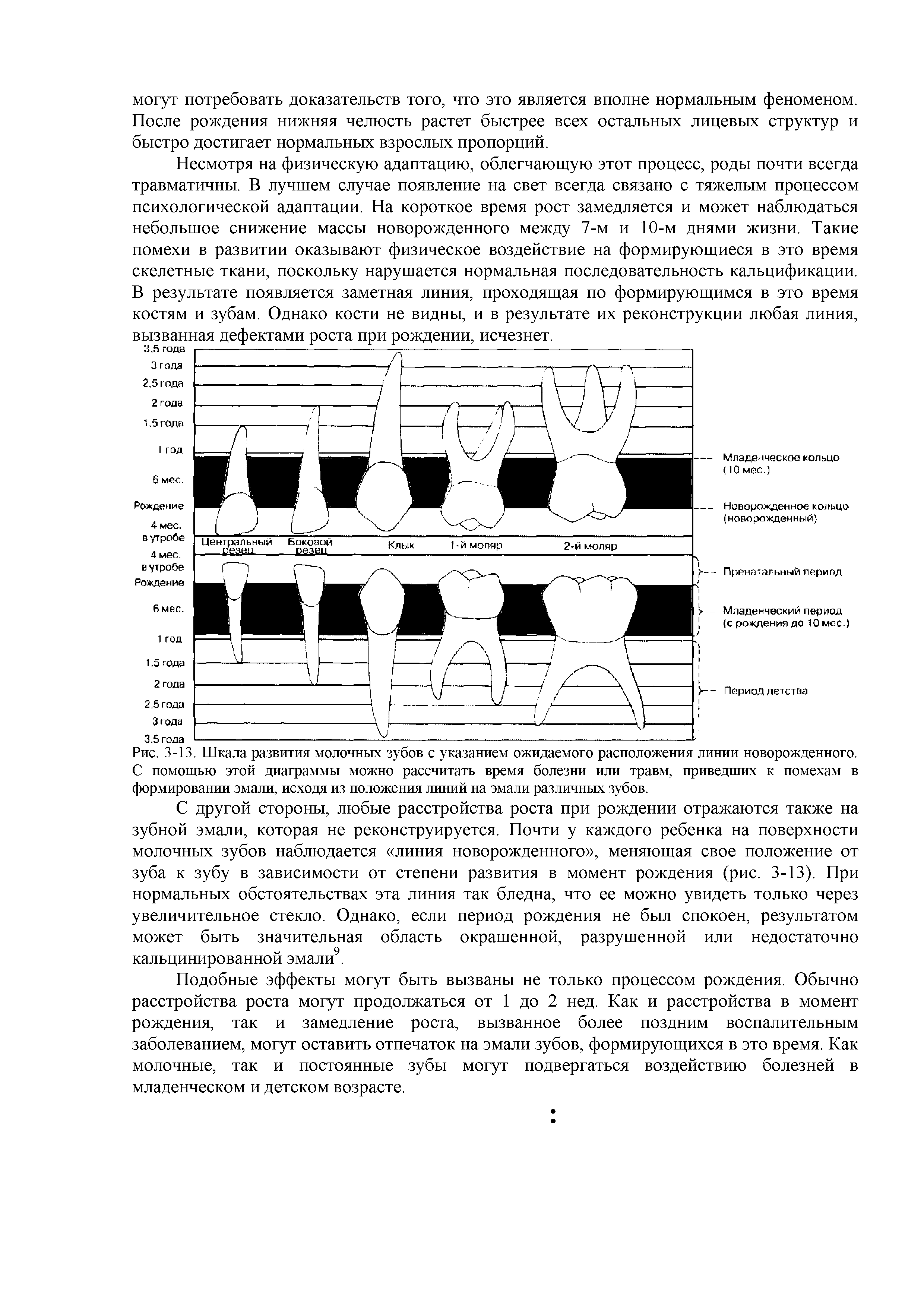 Рис. 3-13. Шкала развития молочных зубов с указанием ожидаемого расположения линии новорожденного. С помощью этой диаграммы можно рассчитать время болезни или травм, приведших к помехам в формировании эмали, исходя из положения линий на эмали различных зубов.