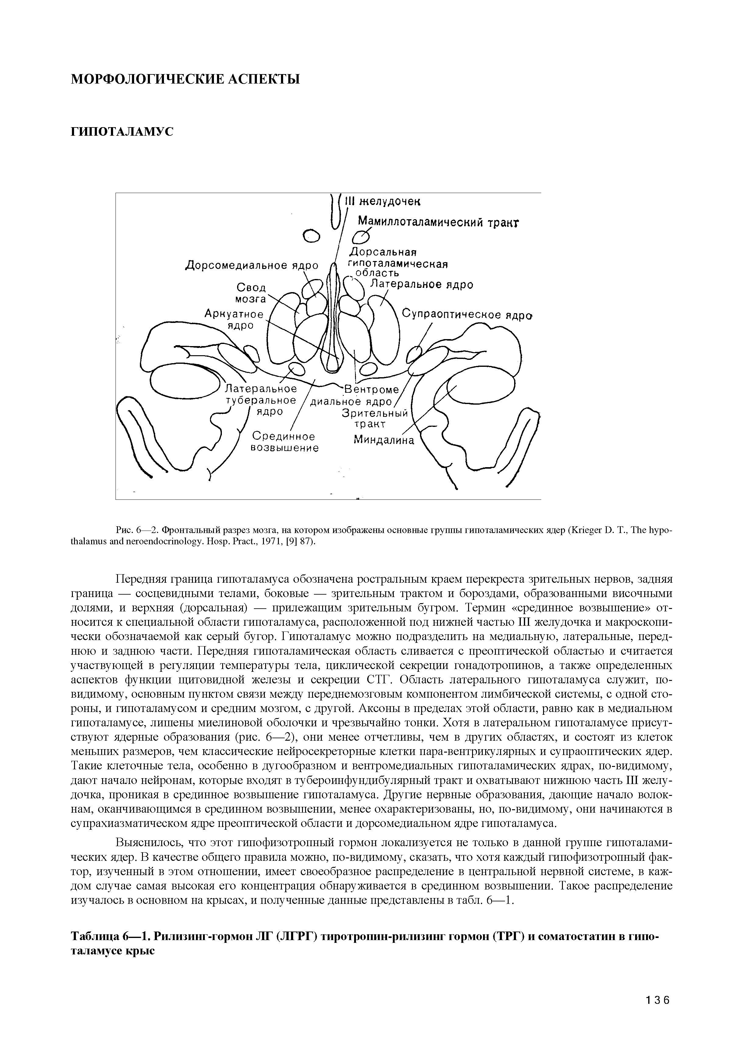 Таблица 6—1. Рилизинг-гормон ЛГ (Л1РГ) тиротропин-рилизинг гормон (ТРГ) и соматостатин в гипоталамусе крыс...