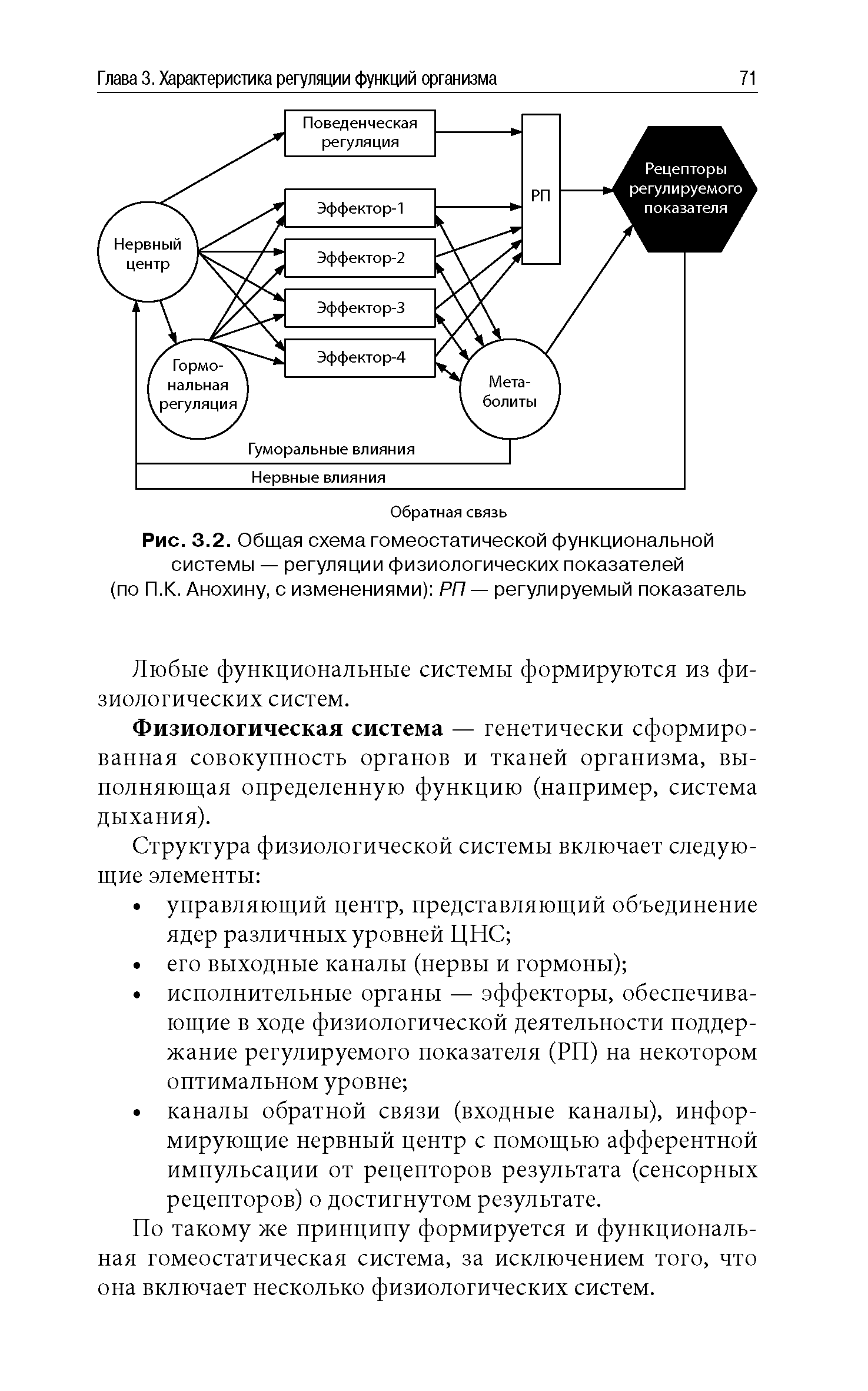 Рис. 3.2. Общая схема гомеостатической функциональной системы — регуляции физиологических показателей (по П.К. Анохину, с изменениями) РП — регулируемый показатель...