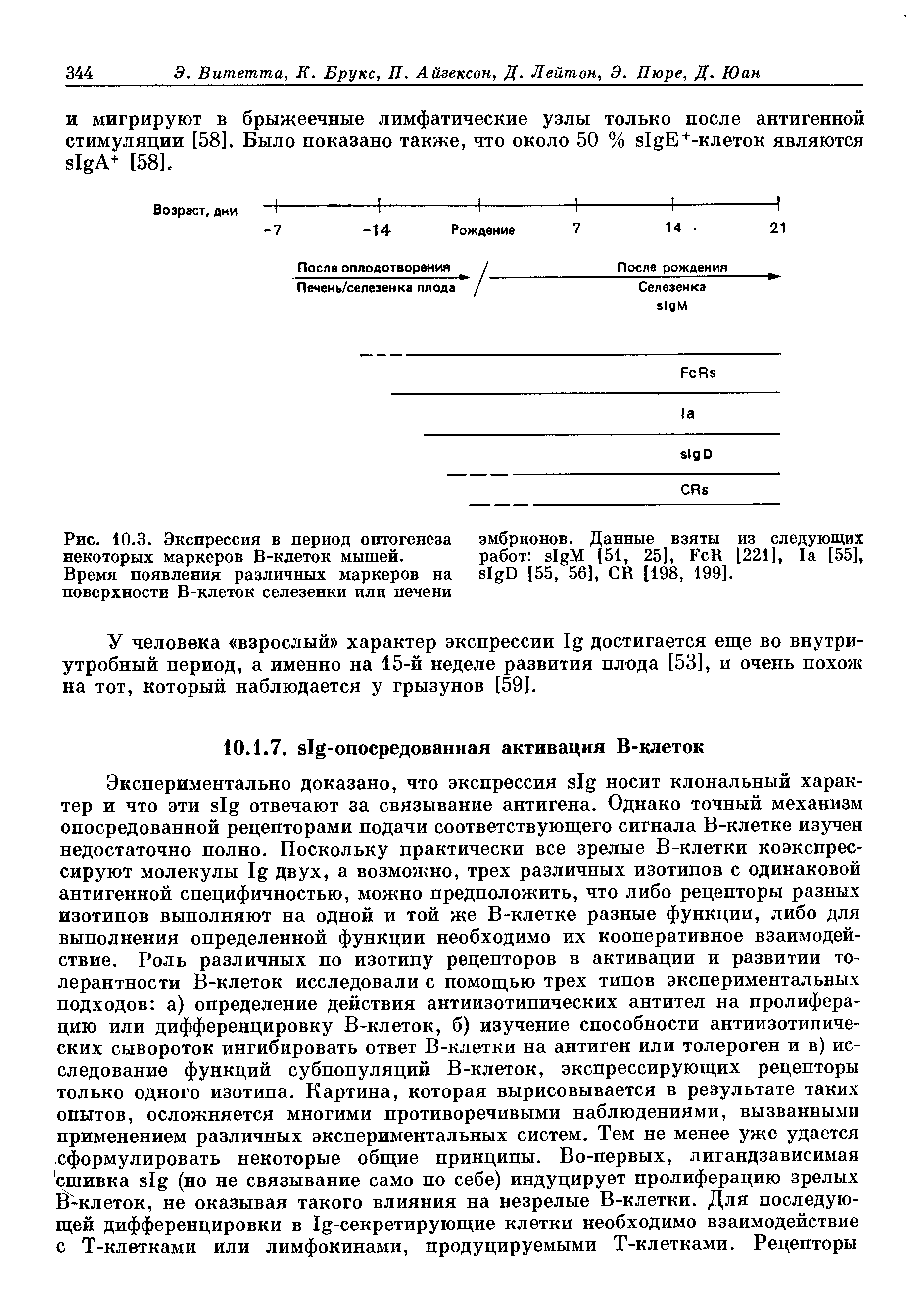 Рис. 10.3. Экспрессия в период онтогенеза некоторых маркеров В-клеток мышей.