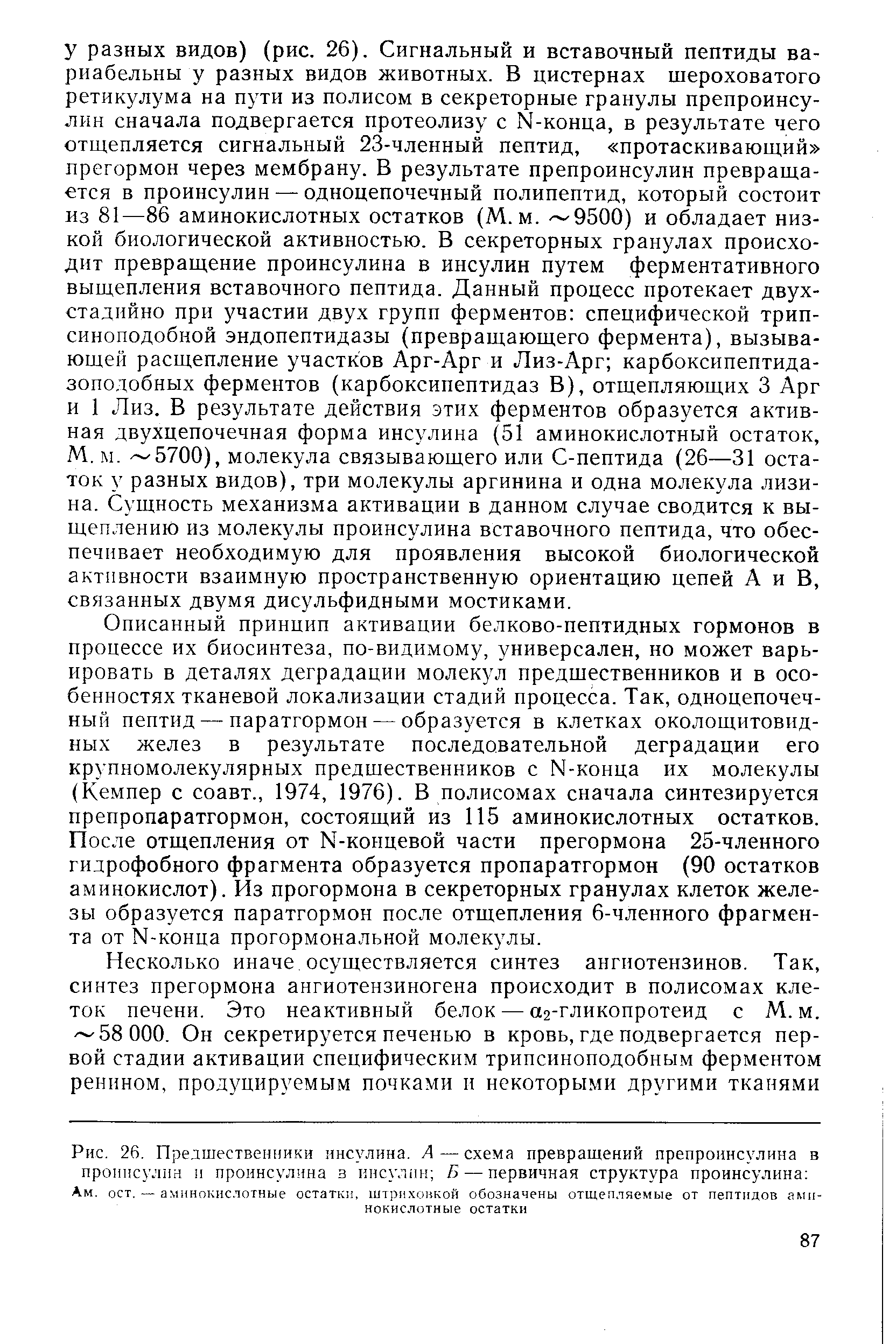 Рис. 26. Предшественники инсулина. А — схема превращений препроинсулина в проинсулин и проинсулина з инсулин Б—первичная структура проинсулина Ам. ост. — аминокислотные остатки, штриховкой обозначены отщепляемые от пептидов аминокислотные остатки...