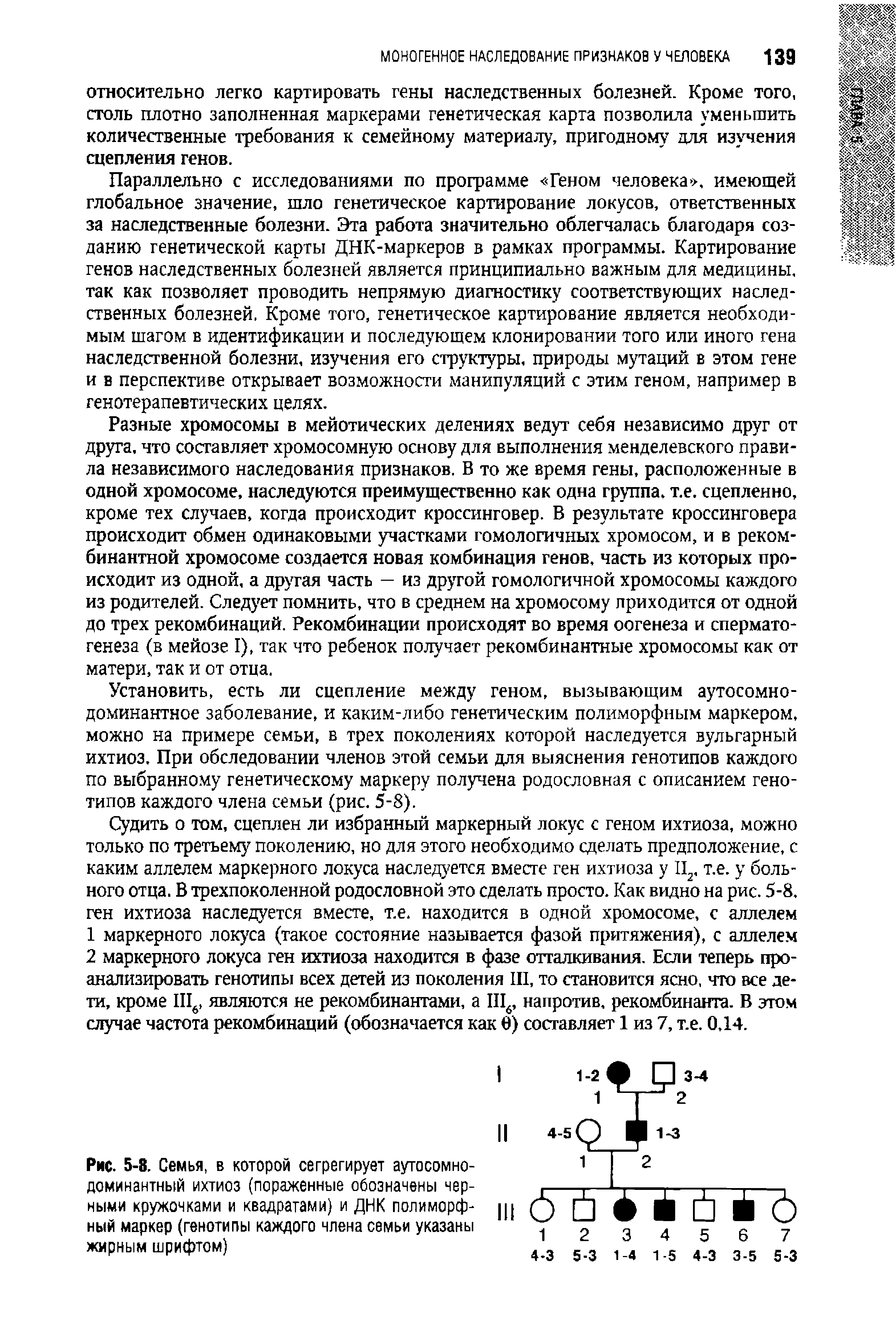 Рис. 5-8. Семья, в которой сегрегирует аутосомнодоминантный ихтиоз (пораженные обозначены черными кружочками и квадратами) и ДНК полиморфный маркер (генотипы каждого члена семьи указаны жирным шрифтом)...