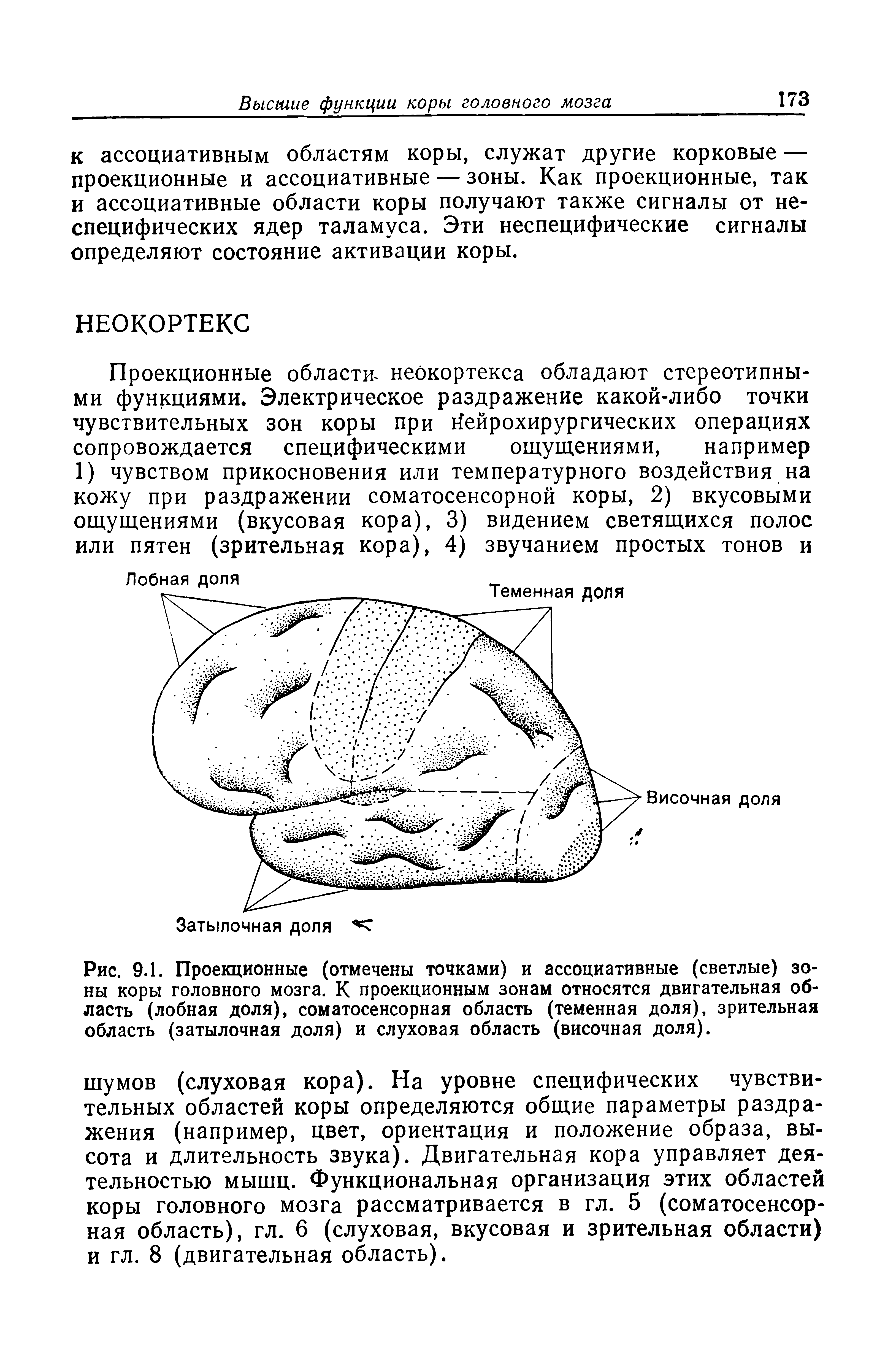 Рис. 9.1. Проекционные (отмечены точками) и ассоциативные (светлые) зоны коры головного мозга. К проекционным зонам относятся двигательная область (лобная доля), соматосенсорная область (теменная доля), зрительная область (затылочная доля) и слуховая область (височная доля).