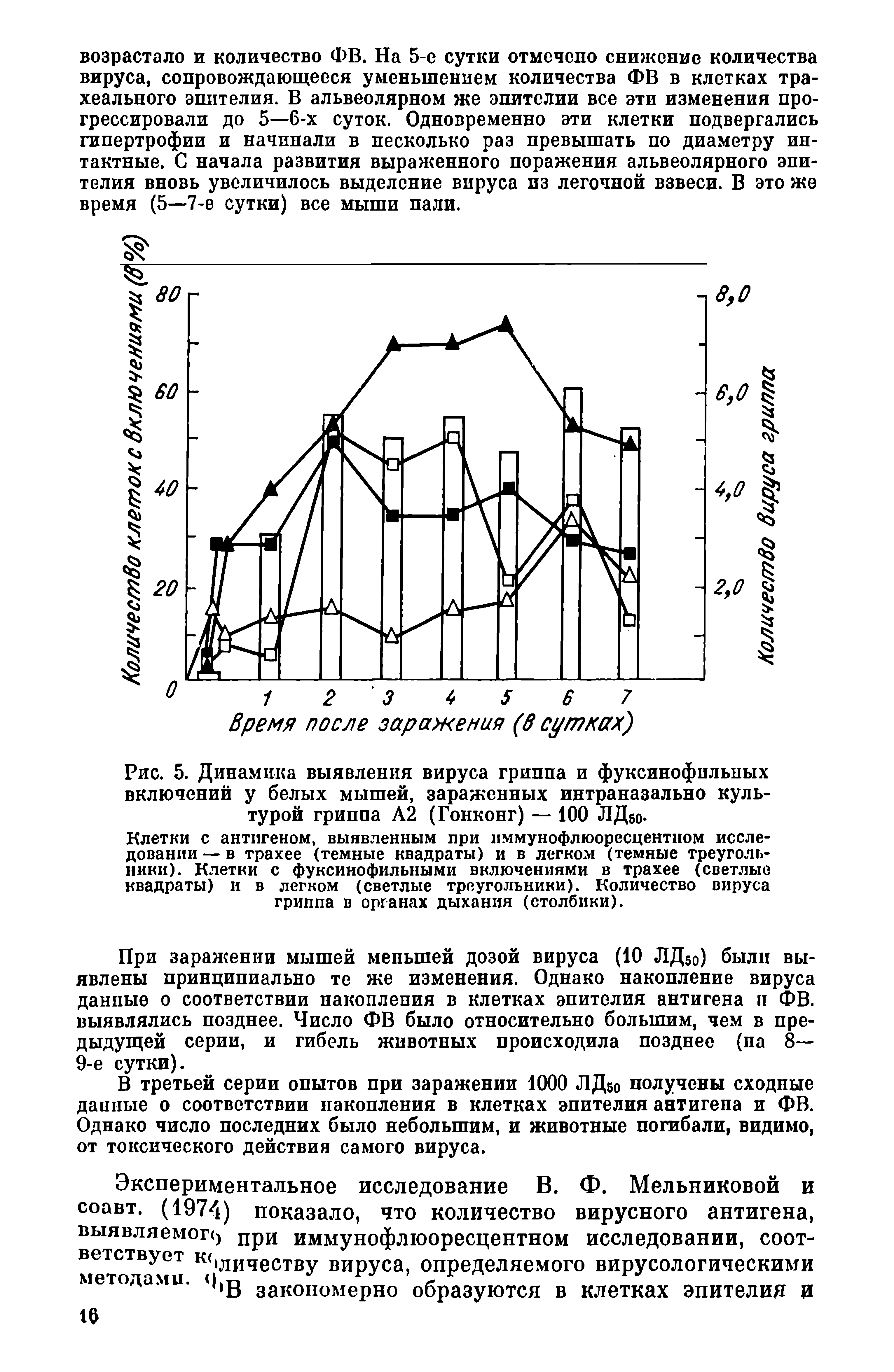 Рис. 5. Динамика выявления вируса гриппа и фуксинофильных включений у белых мышей, зараженных интраназально культурой гриппа А2 (Гонконг) — 100 ЛДво-...